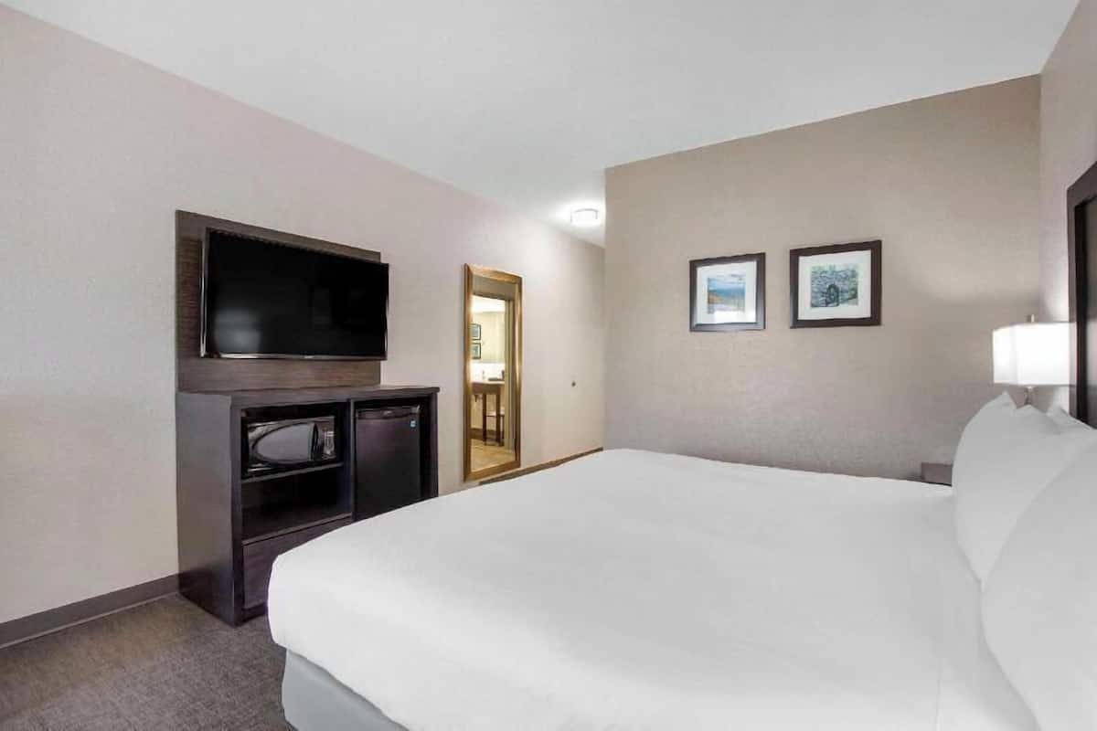 A hotel room with a bed, a television, a desk, and a mirror.