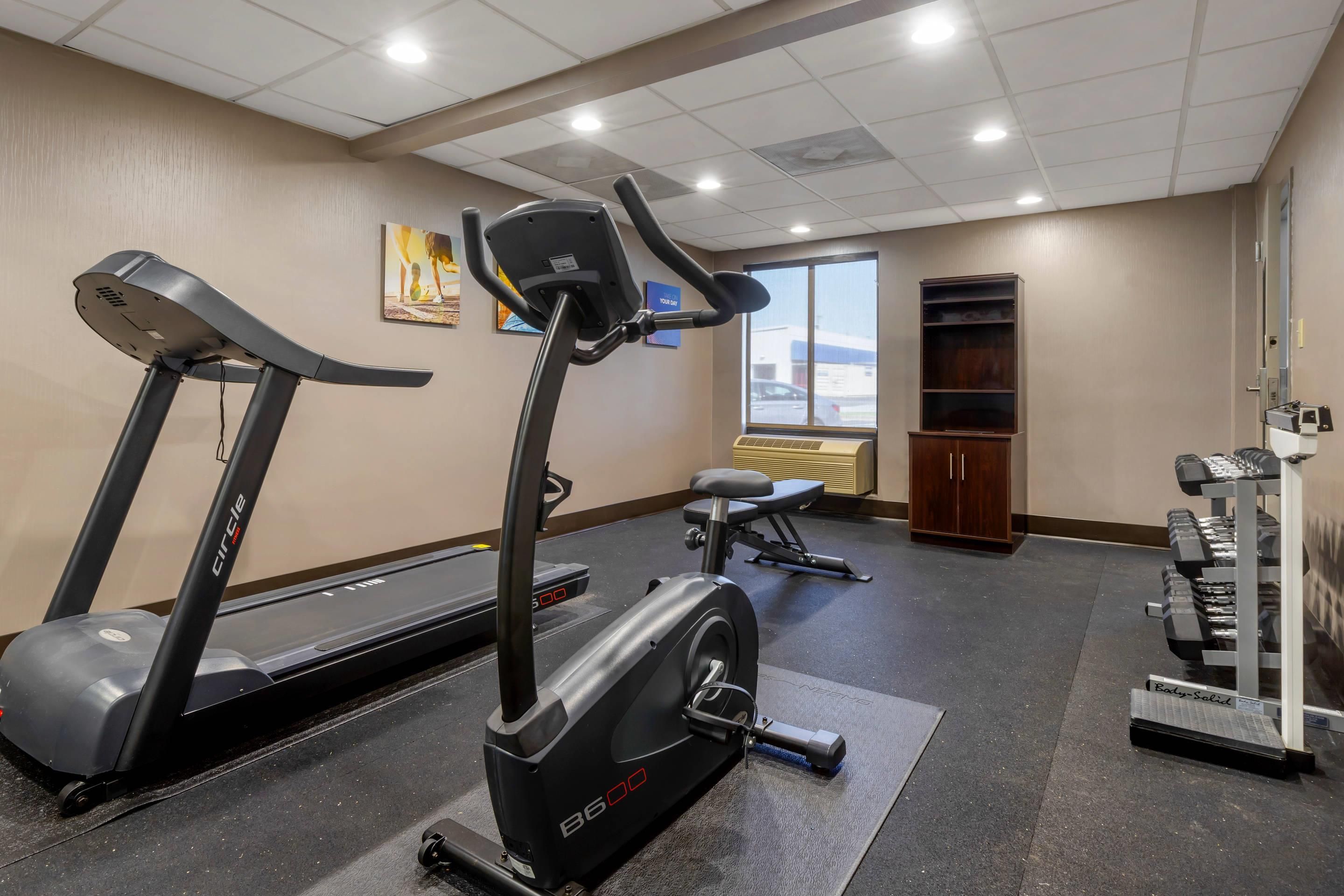 A gym with treadmills, an elliptical, a bench, and a weight rack.
