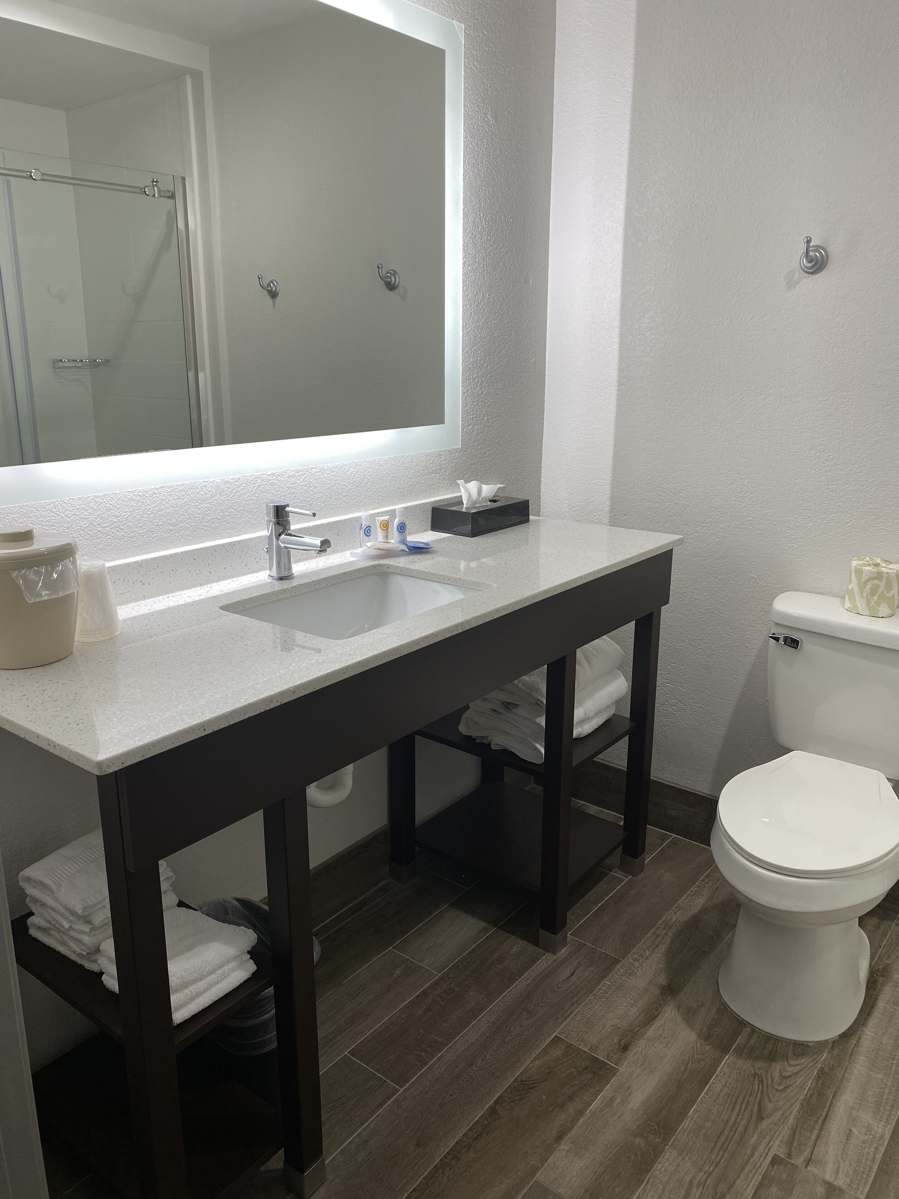 deluxe suite, 1 king bed with sofa bed, non smoking | bathroom | combined shower/bathtub, free toiletries, towels