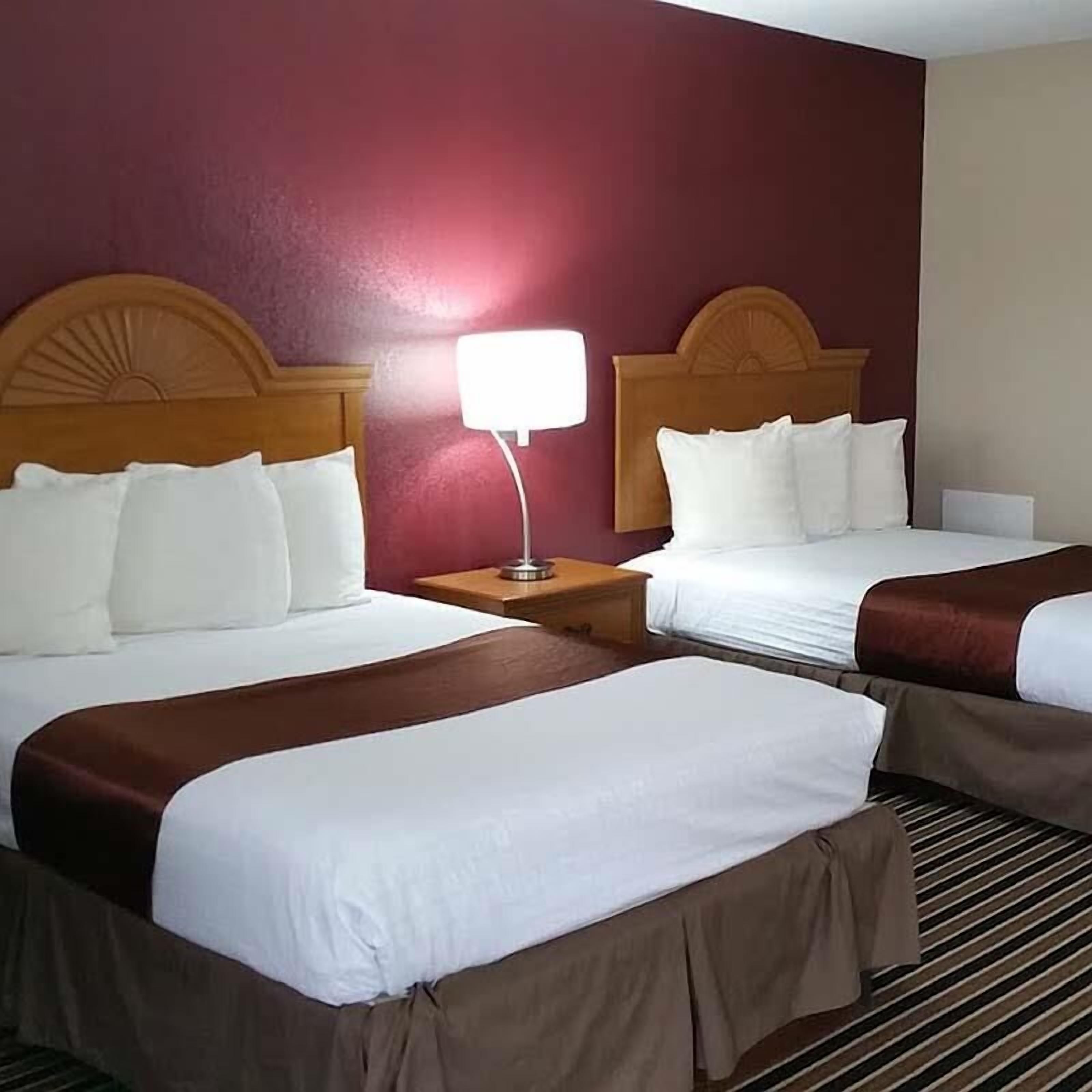 A hotel room with two beds, each with a wooden headboard, white bedding, and a brown accent. There is a nightstand with a lamp between the beds.