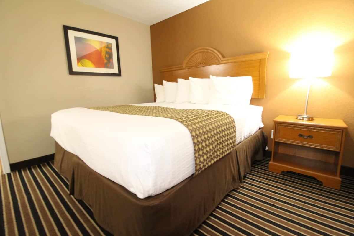 A hotel room with a large bed, a nightstand with a lamp, a framed picture on the wall, and a striped carpet.