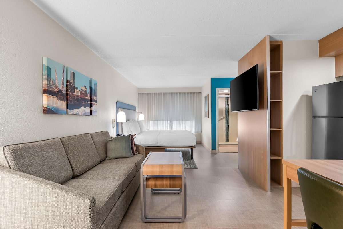 Suite, 1 kingsize-seng, kjøkken | Oppholdsområde | En 50-tommers Flatskjerm-TV med kabel-kanaler samt TV og Netflix