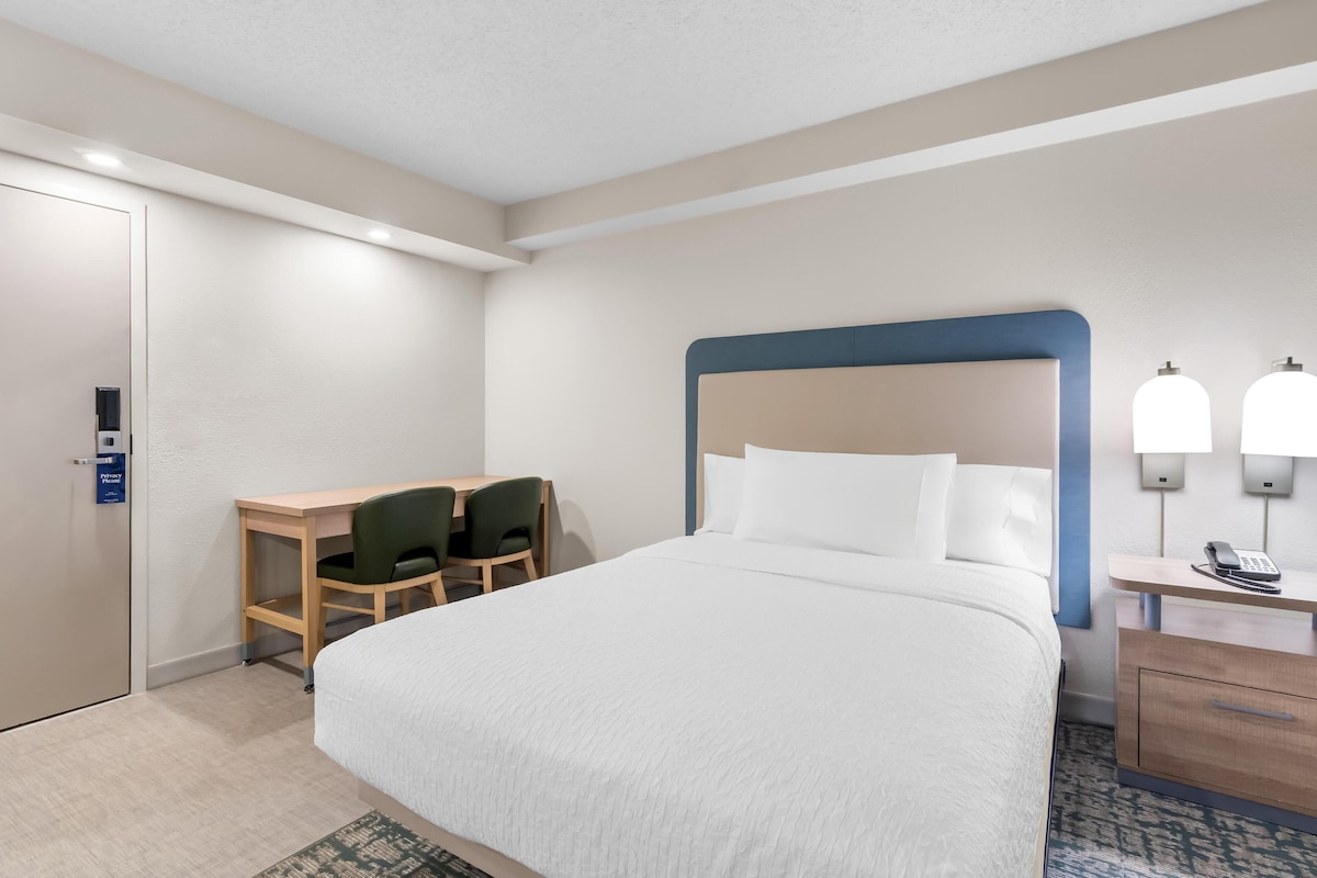 Camera d'albergo con un letto grande, una scrivania con sedia, un comodino con lampada e una porta con serratura interna.