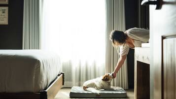 A bedroom with a bed, a standing desk, a window with curtains, and a dog on a mat.