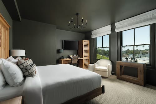 Room, 1 King Bed