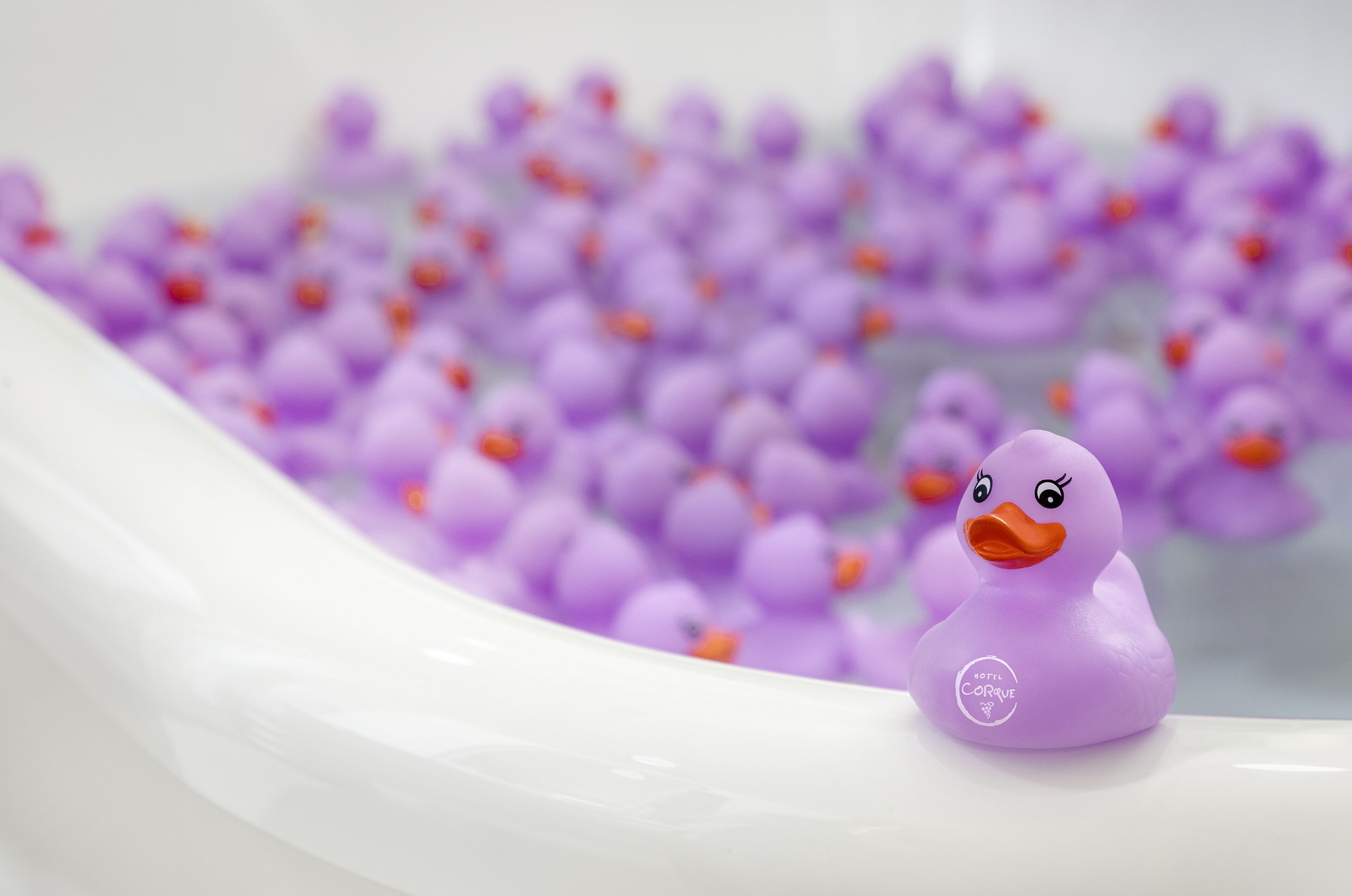 suite, 1 king bed (wine country) | bathroom amenities | shower, hair dryer, bathrobes, towels