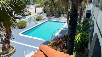 A rectangular swimming pool with a tiled deck, surrounded by palm trees and other tropical plants.