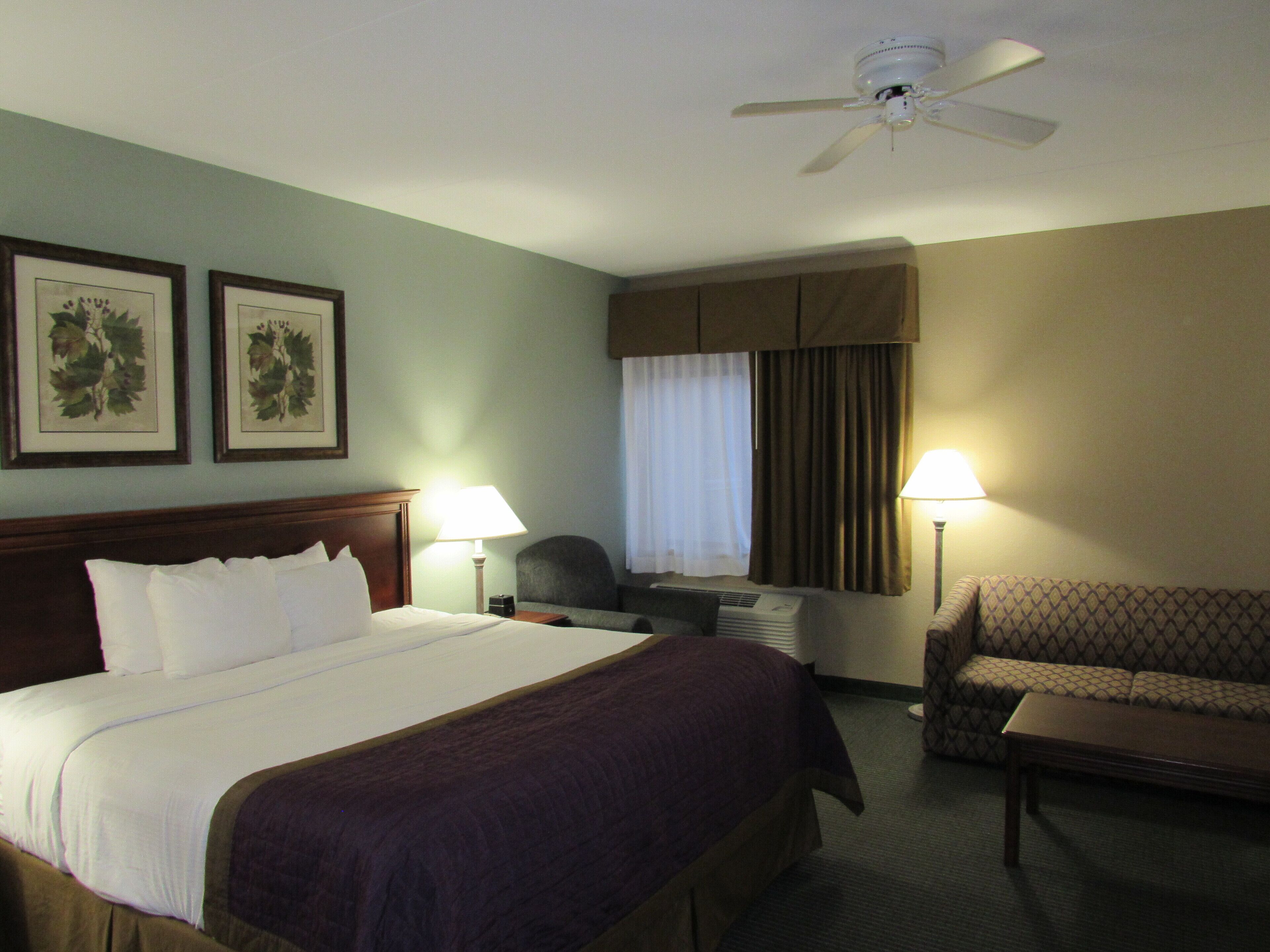 deluxe suite, 1 king bed with sofa bed | 1 bedroom, desk, soundproofing, iron/ironing board