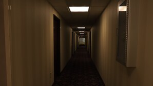 A long, narrow hallway with carpeted floors and doors on both sides.