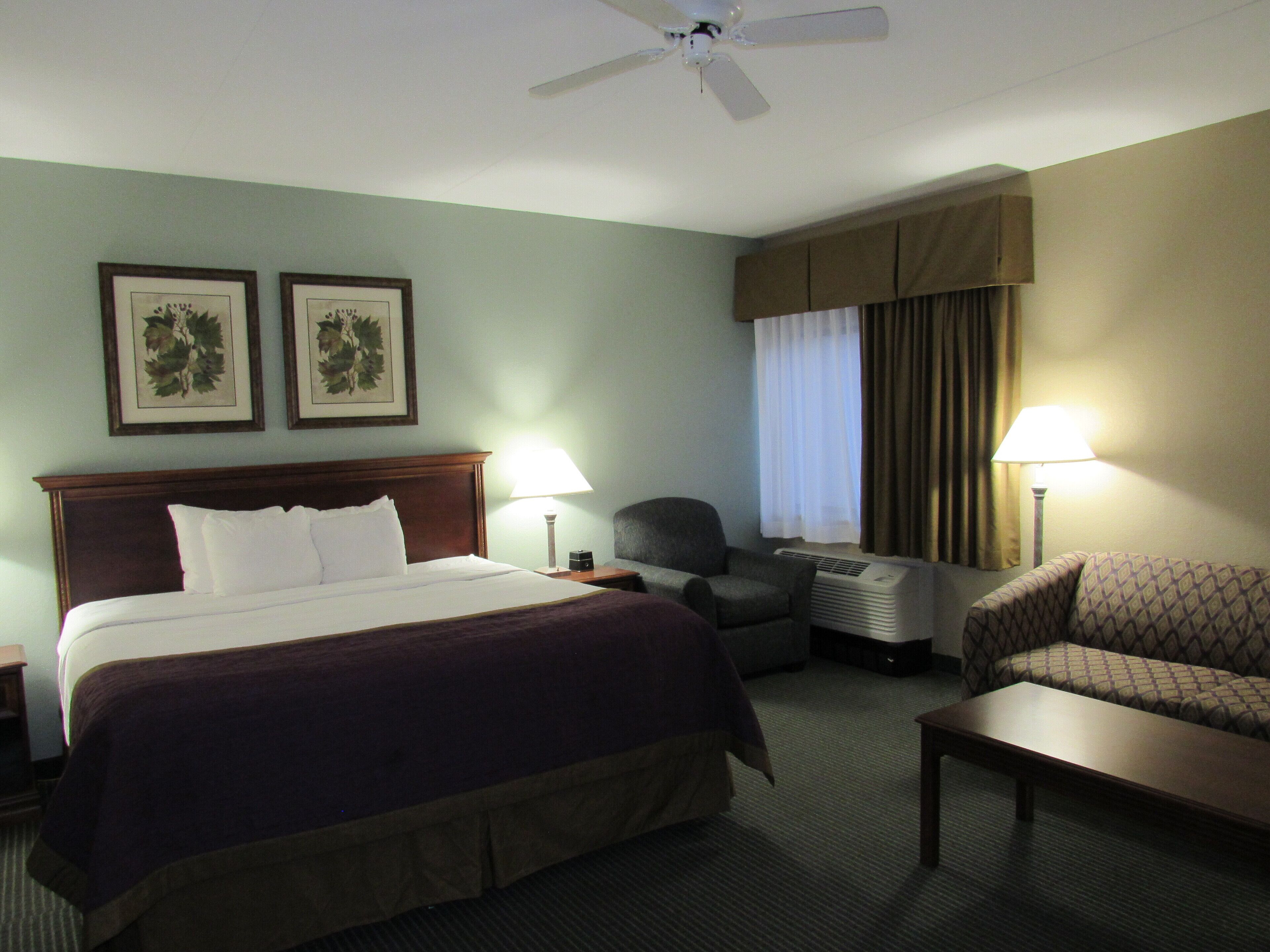 Deluxe Suite, 1 King Bed with Sofa bed | Desk, soundproofing, iron/ironing board, free WiFi