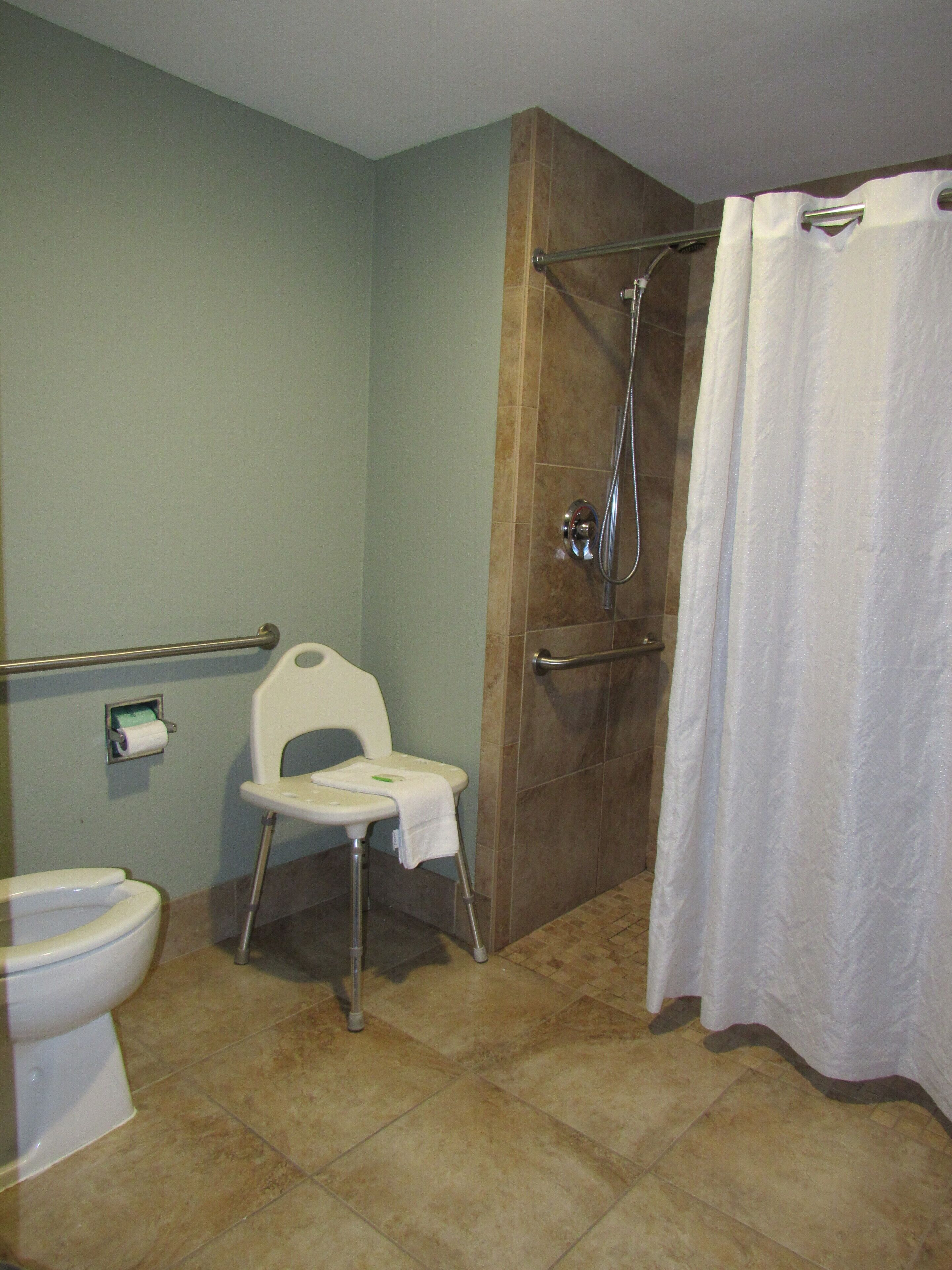 Baño con ducha, inodoro y banco accesible para sillas de ruedas.