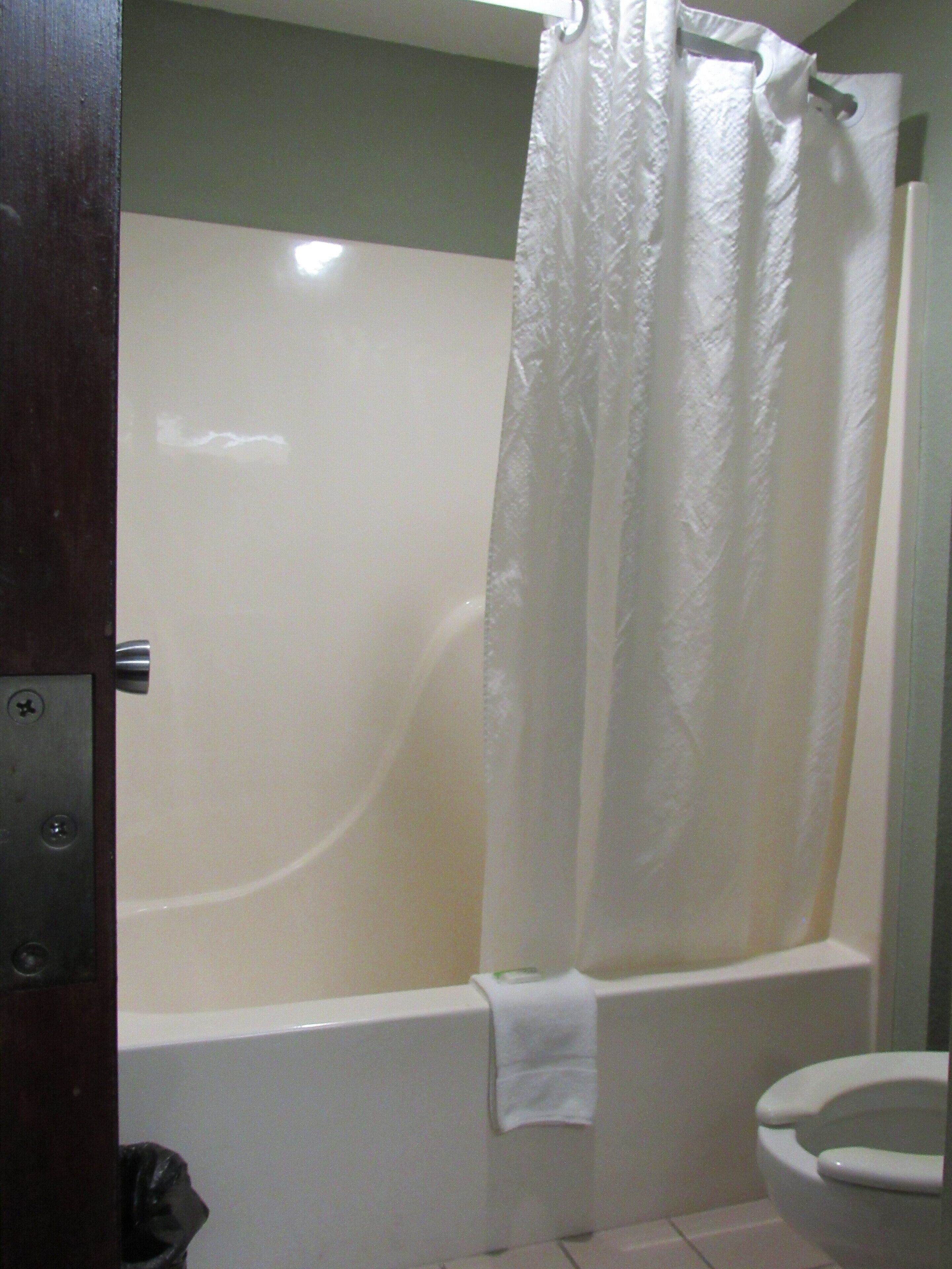 A bathroom with a bathtub, toilet, and a shower curtain.