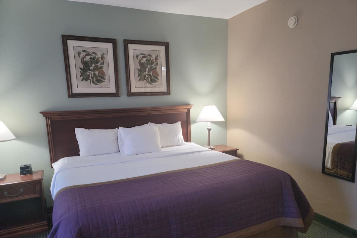 A hotel room with a large bed, two bedside tables, a nightstand, a lamp, and two framed botanical prints on the wall.