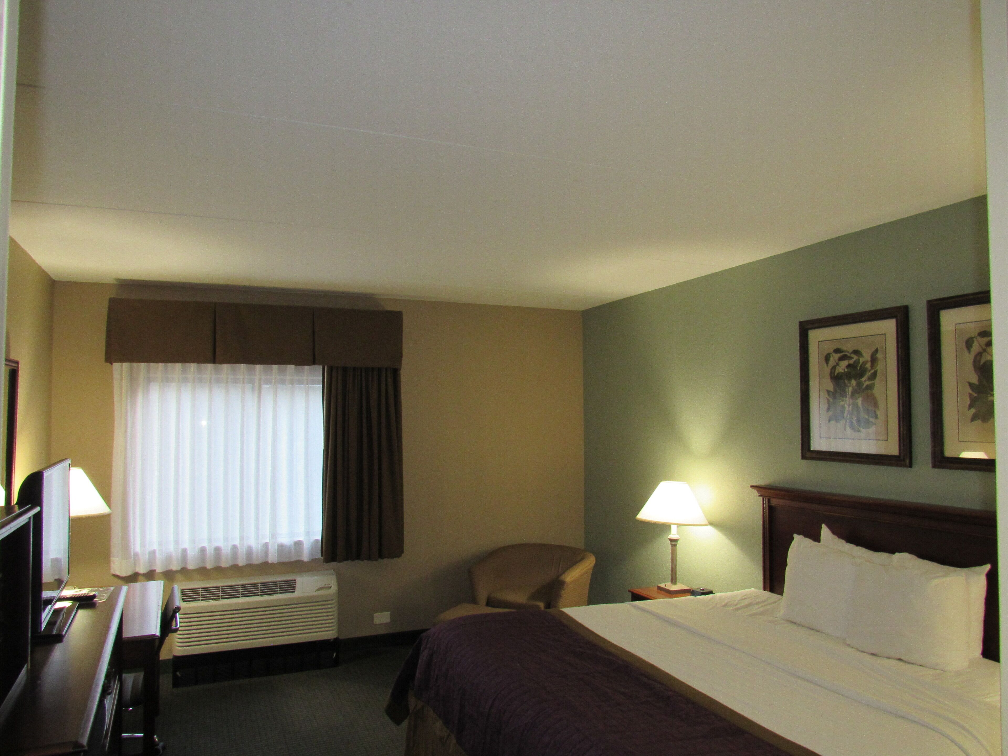 deluxe room, 1 king bed | 1 bedroom, desk, soundproofing, iron/ironing board