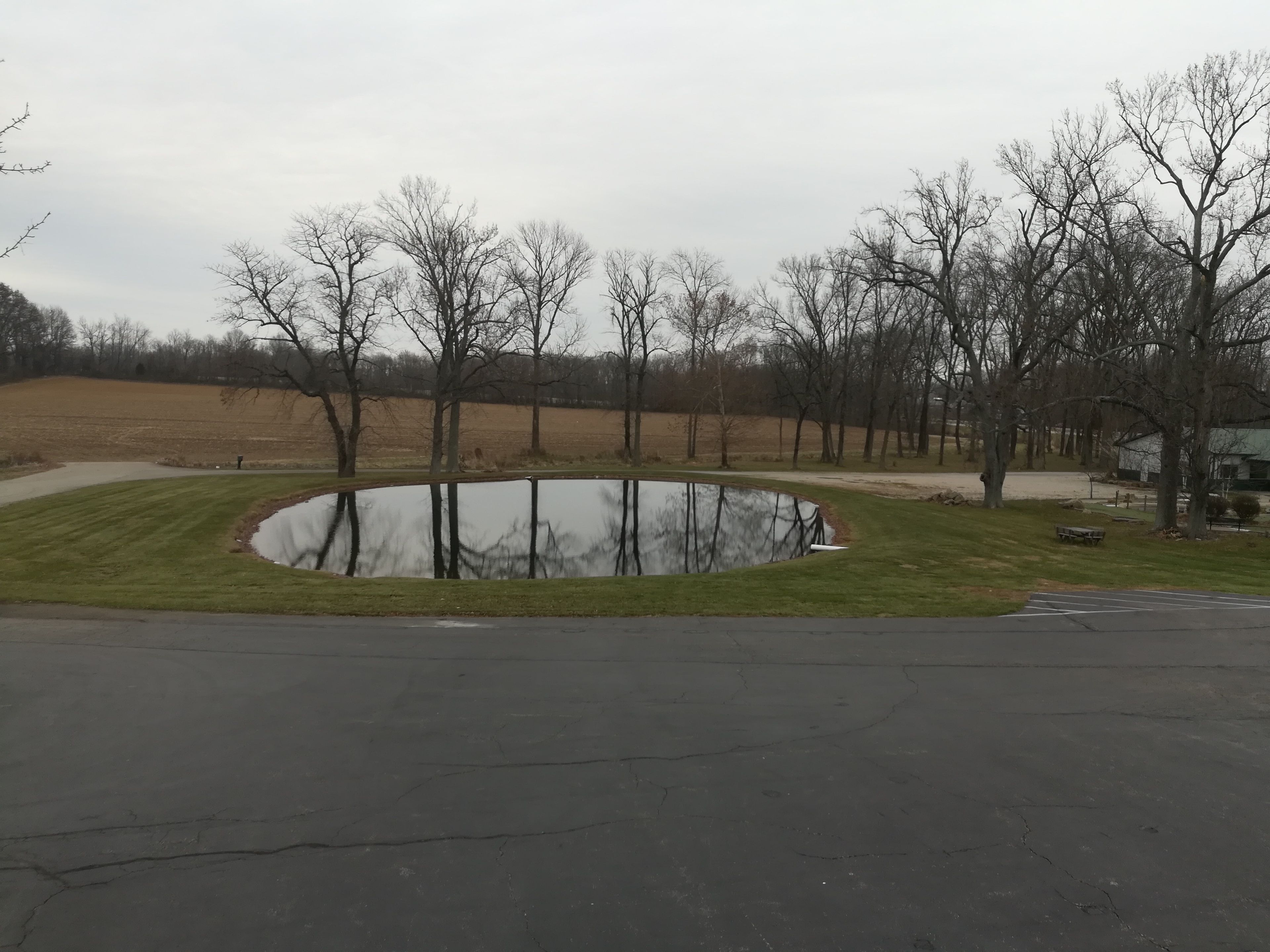 A parking lot with a small pond surrounded by trees and a grassy area.