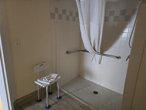 Standard Room, 1 Queen Bed, Accessible | Bathroom | Free toiletries, hair dryer, towels, soap - Baymont by Wyndham Janesville (Janesville)