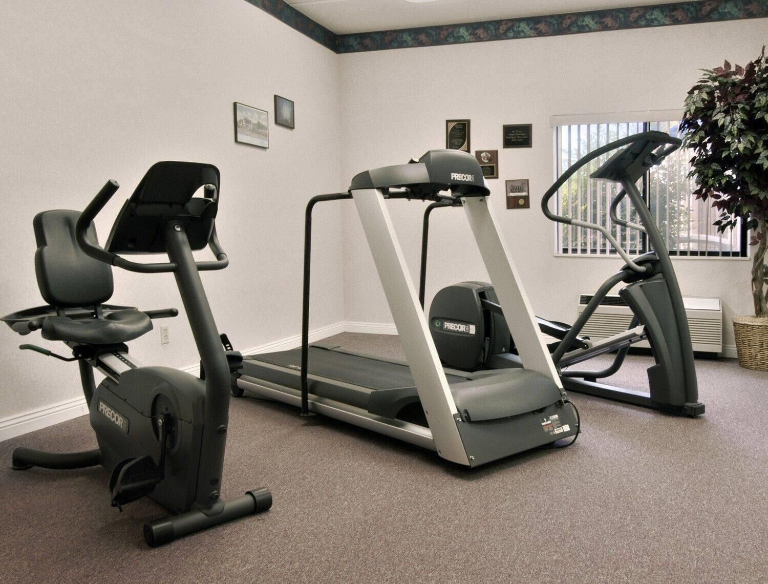 Un gimnasio con cintas de correr y elípticas.