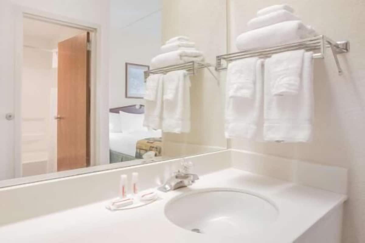 Baño | Amenidades de baño gratuitas, secadora de cabello, toallas, jabón