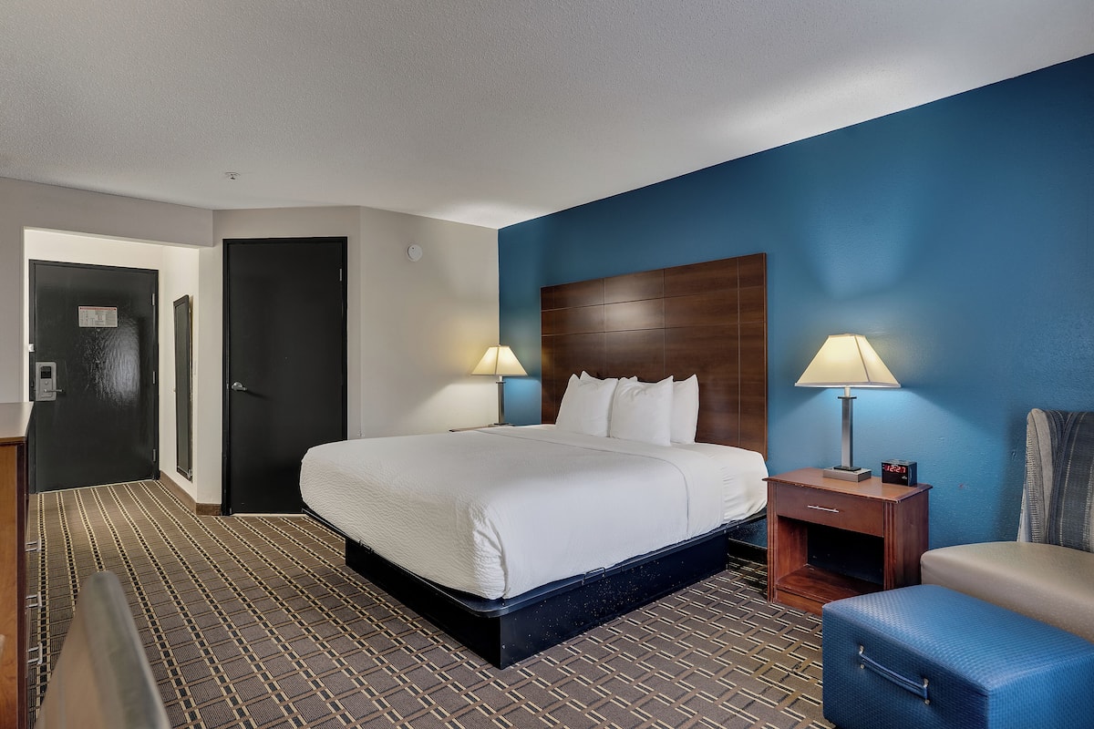 Room, 1 King Bed, Accessible, Non Smoking (Mobility,Roll-In Shower) | Individually decorated, individually furnished, desk, blackout curtains