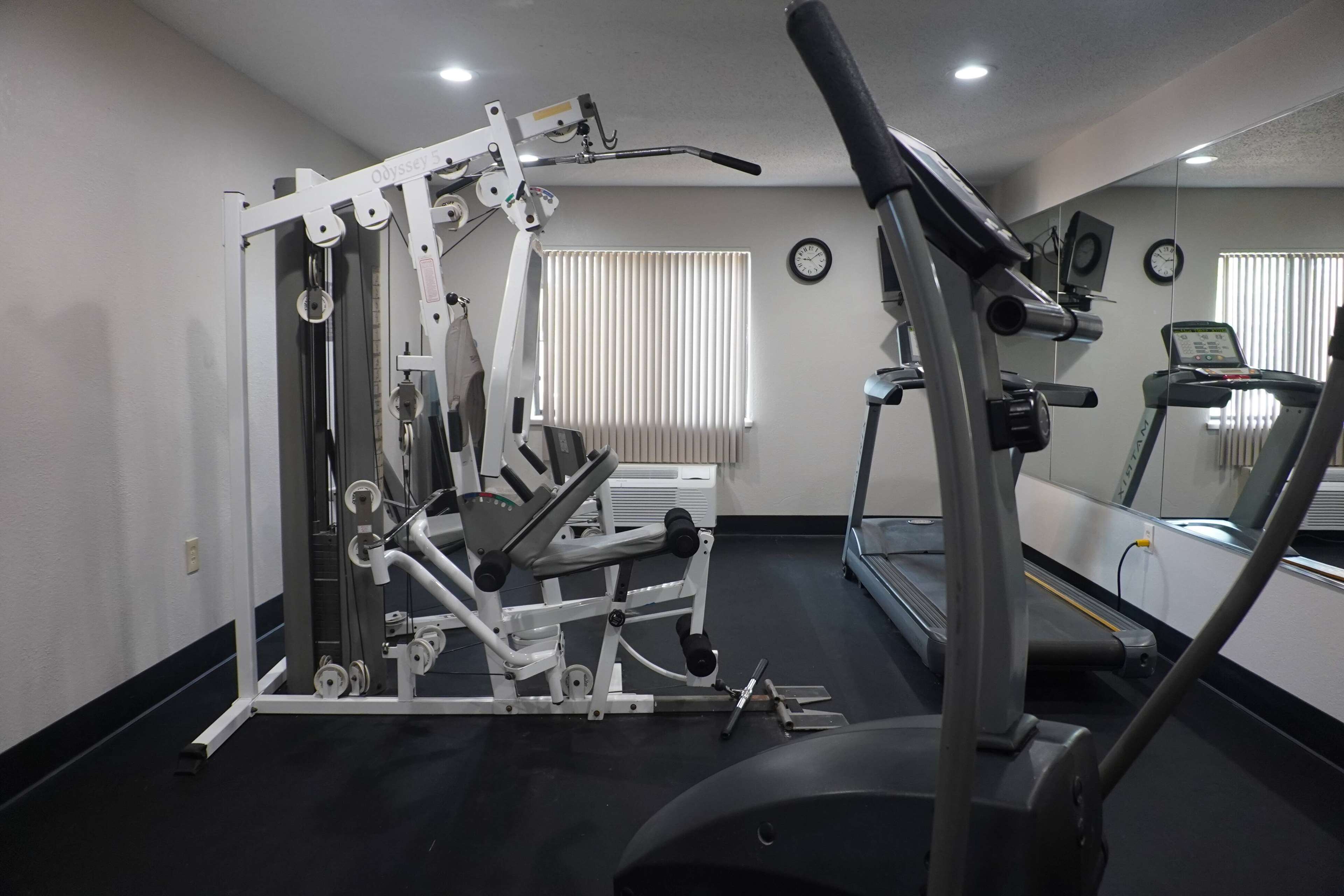 A gym with a treadmill, weight machines, and a mirrored wall.