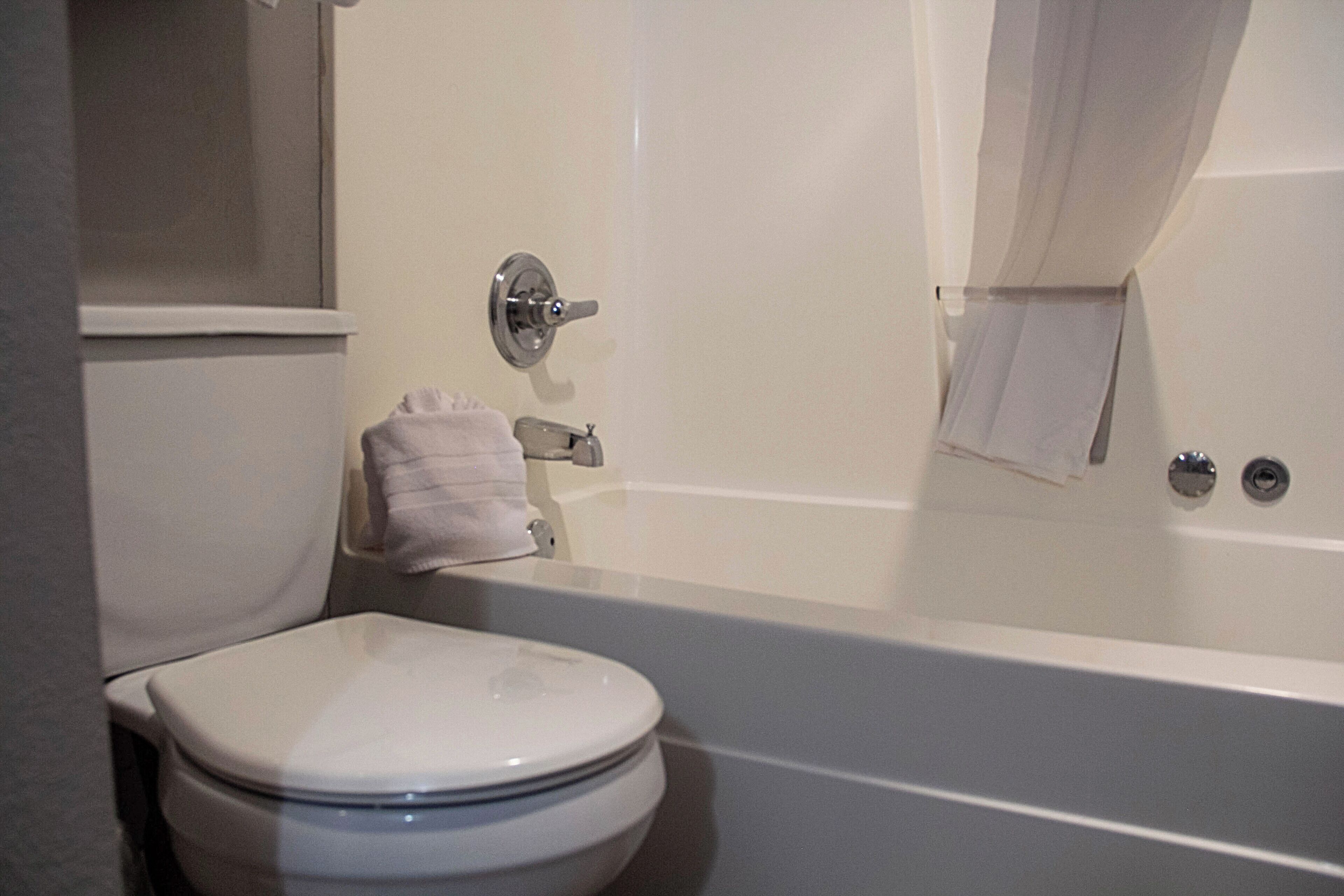A bathroom with a toilet, a bathtub, and a shower curtain.