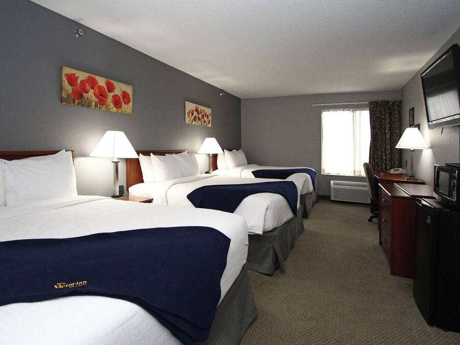 Desk, blackout curtains, iron/ironing board, free WiFi