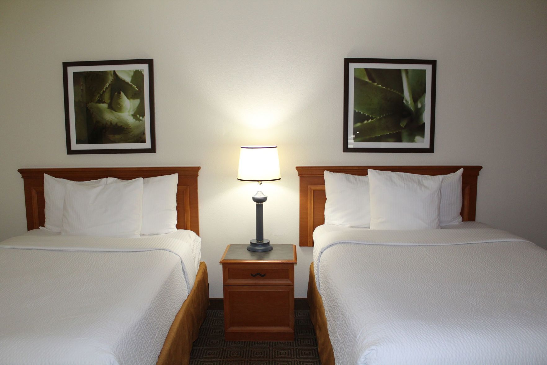 Ropa de cama de alta calidad, camas con pillow-top y escritorio 