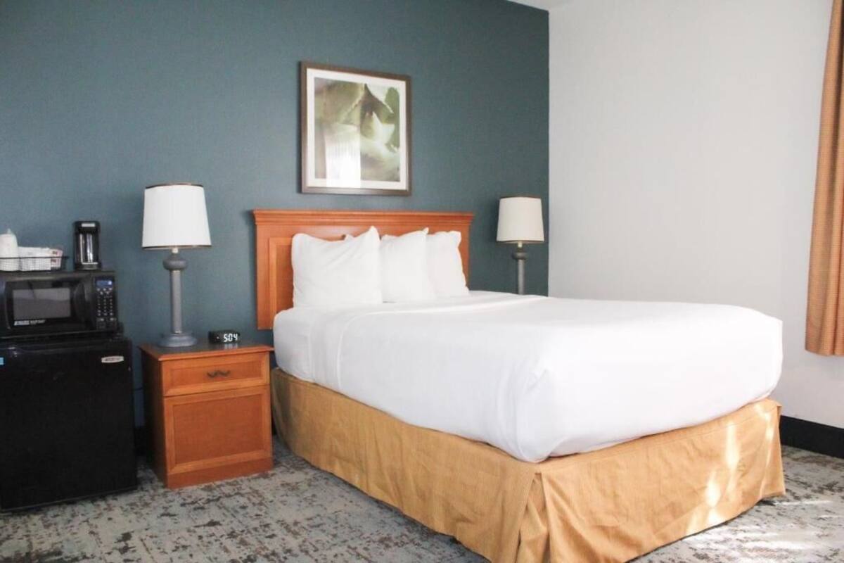 A hotel room with a bed, bedside lamps, a microwave, a nightstand, and a framed picture on the wall.