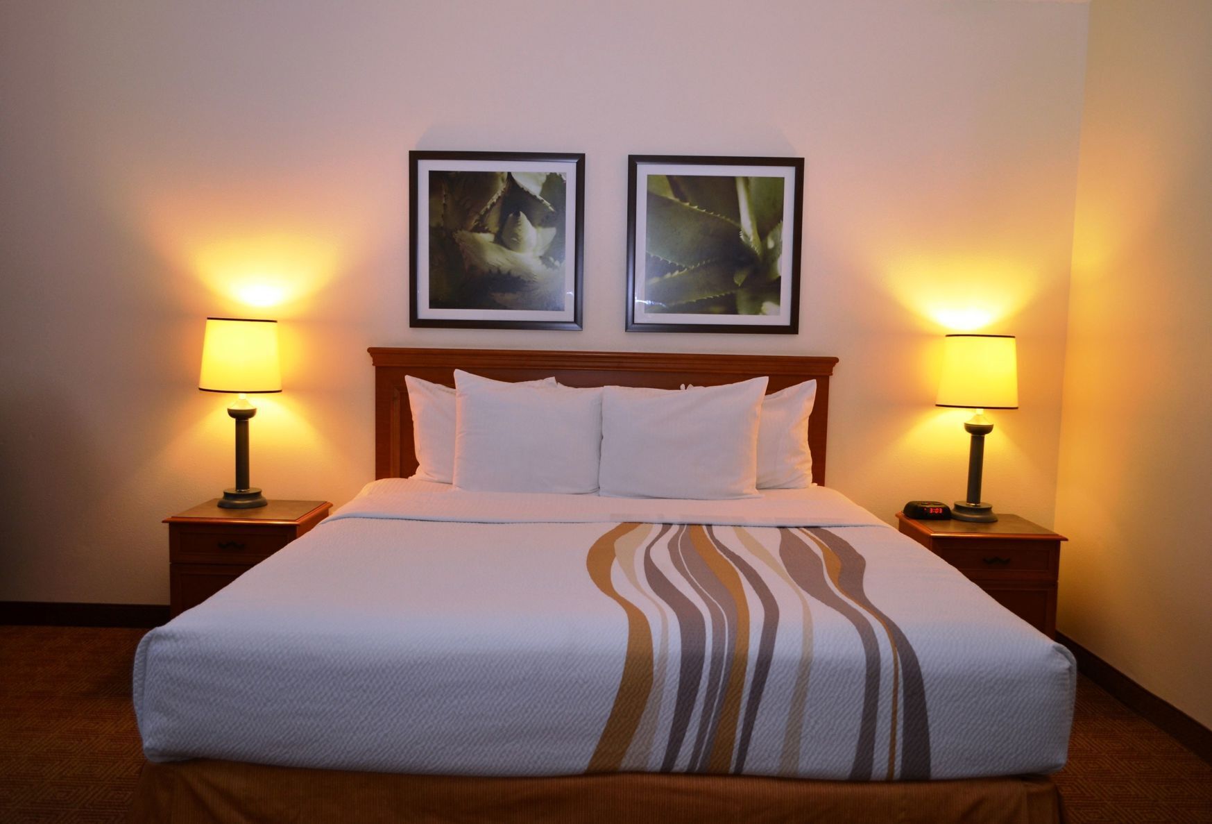 Ropa de cama de alta calidad, camas con pillow-top y escritorio 