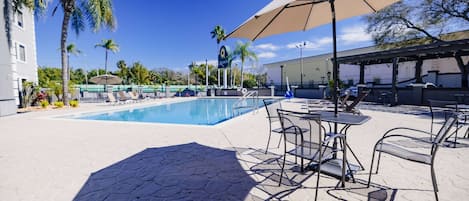 Un área de piscina con sillas de descanso y sombrillas, rodeada de palmeras y un cielo azul despejado.