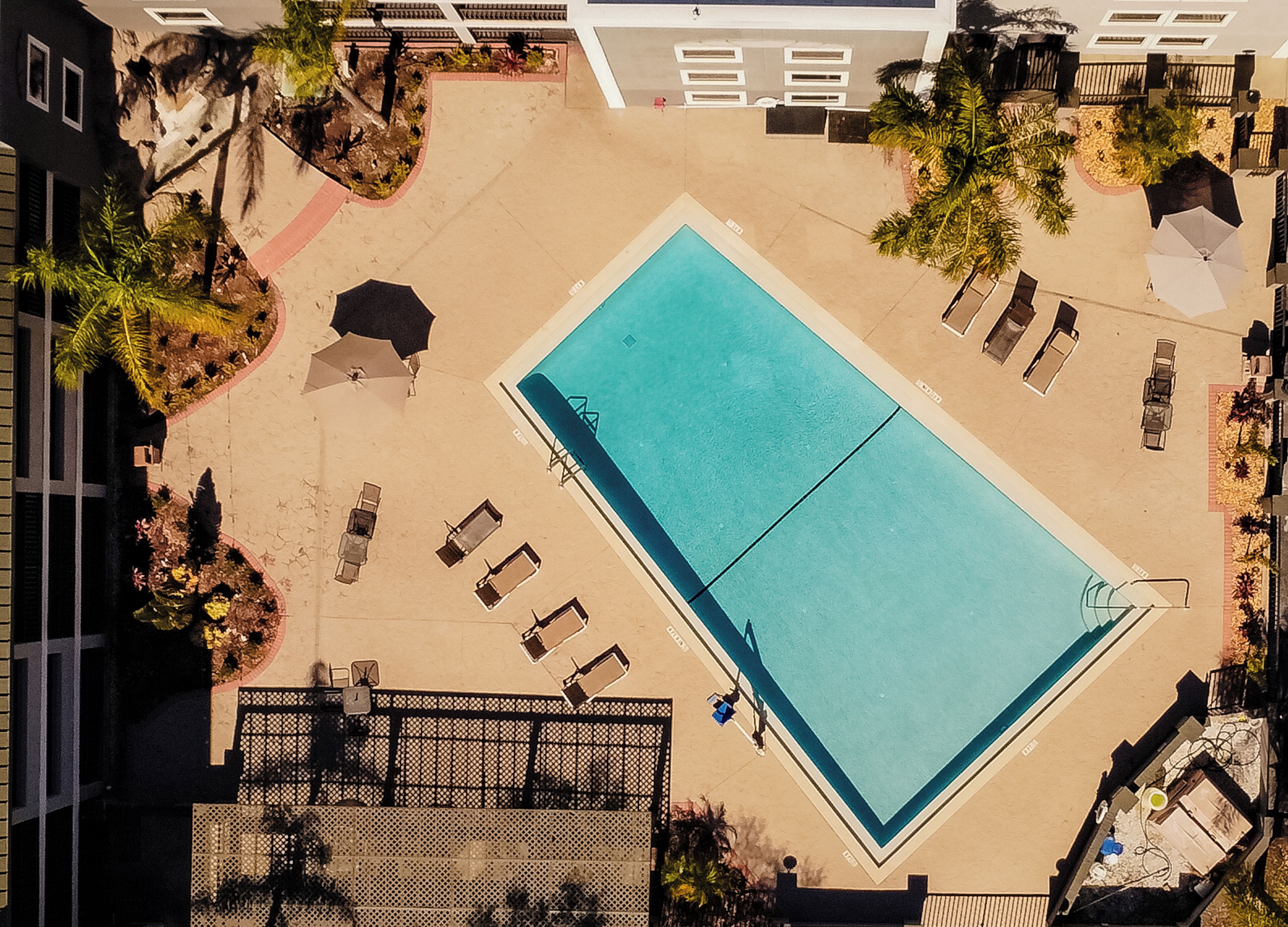 An aerial view of a rectangular swimming pool surrounded by lounge chairs and umbrellas, with a fence and vegetation around.