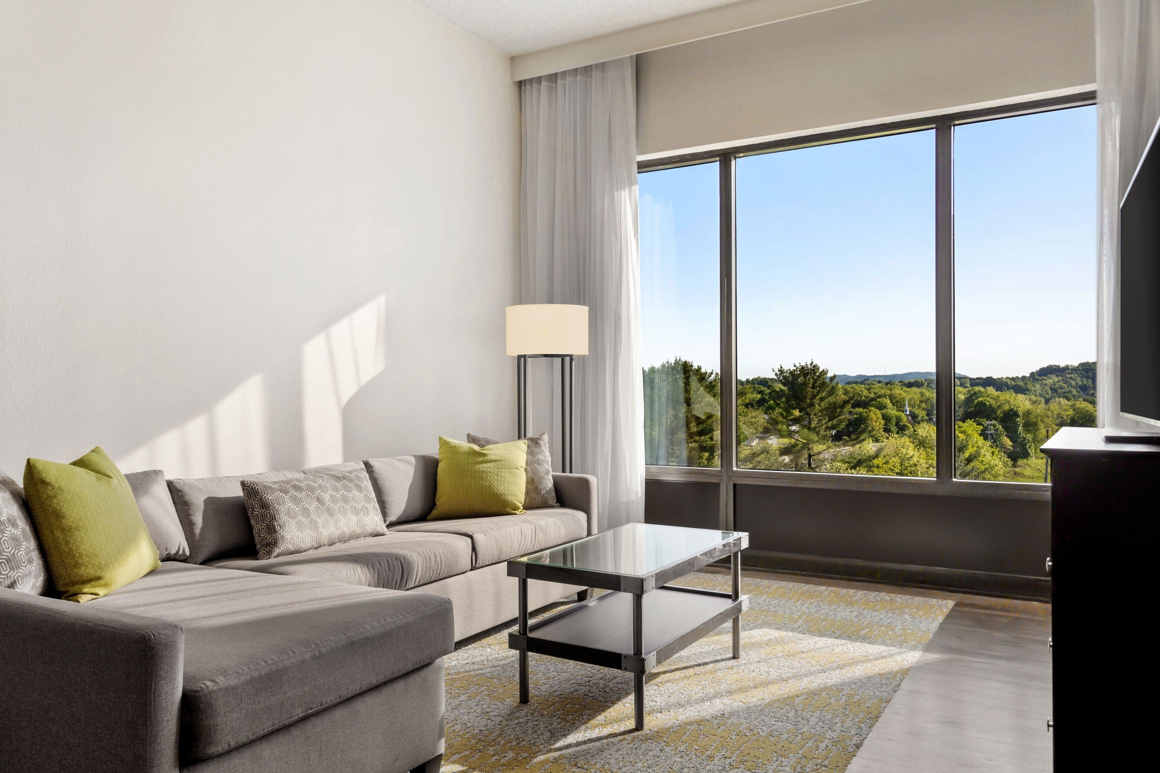 Suite, 1 Bedroom | Living area | 55-inch Smart TV with cable channels, TV, Netflix