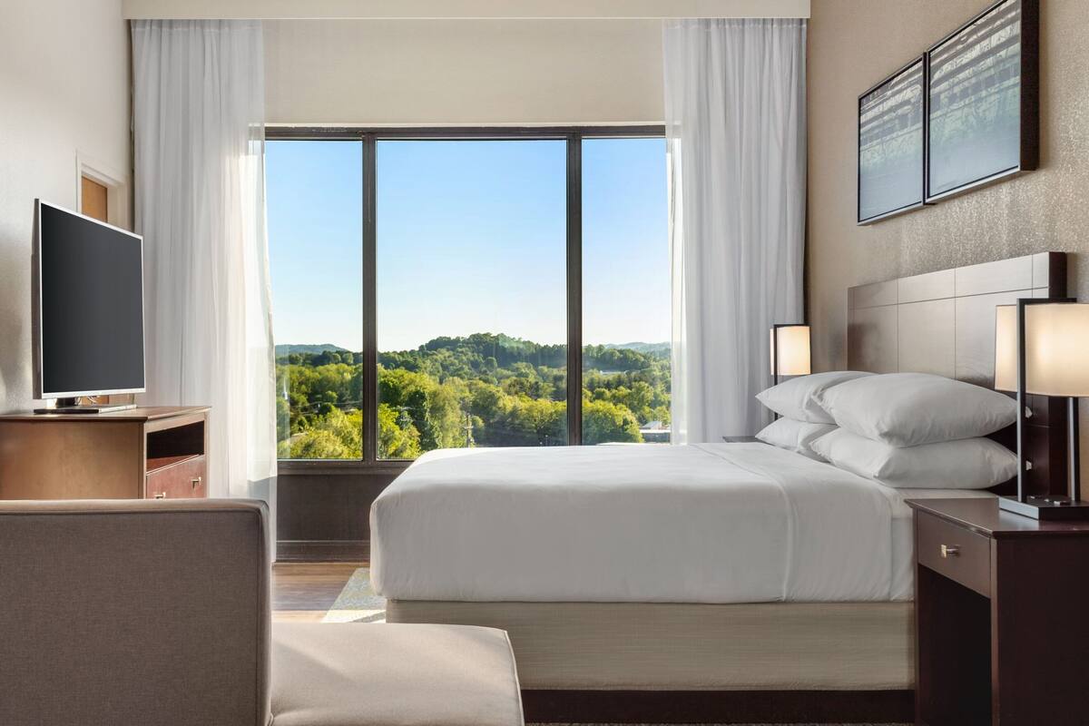A hotel room with a large bed, a TV, a desk, and a view of a forest through the window.