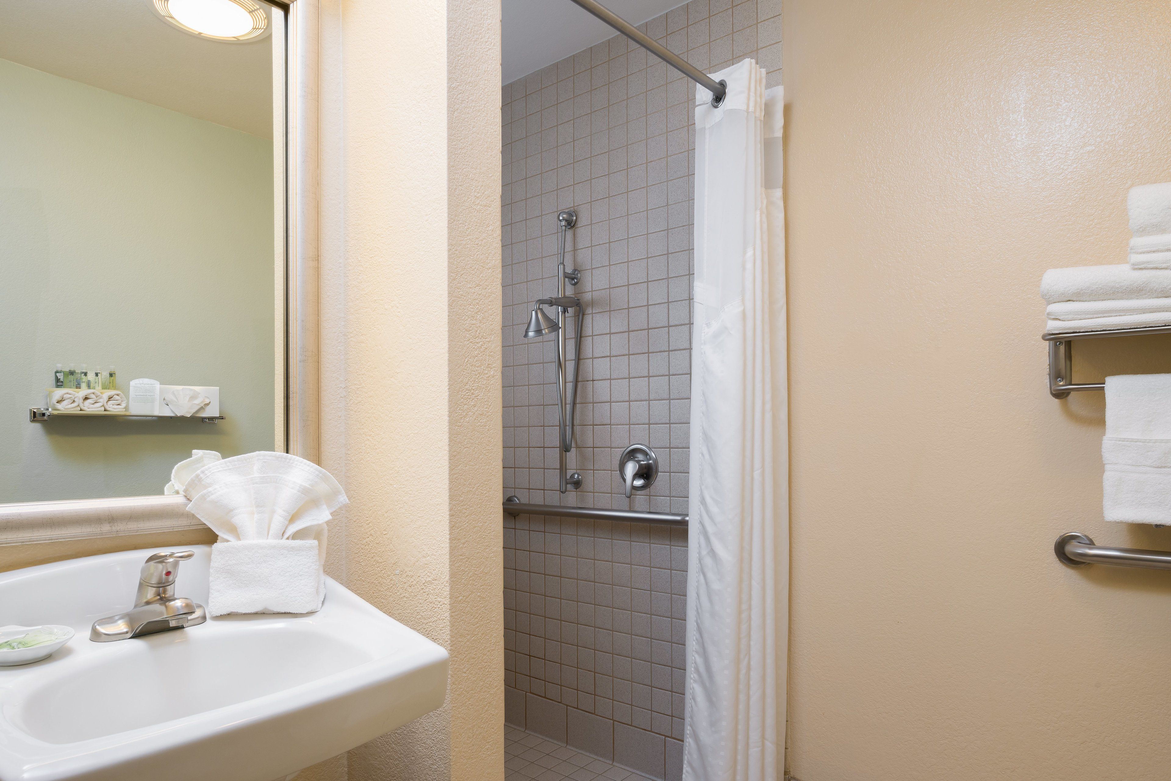 suite, 1 queen bed, roll-in shower (mobil, roll shwr) | bathroom | free toiletries, hair dryer, towels