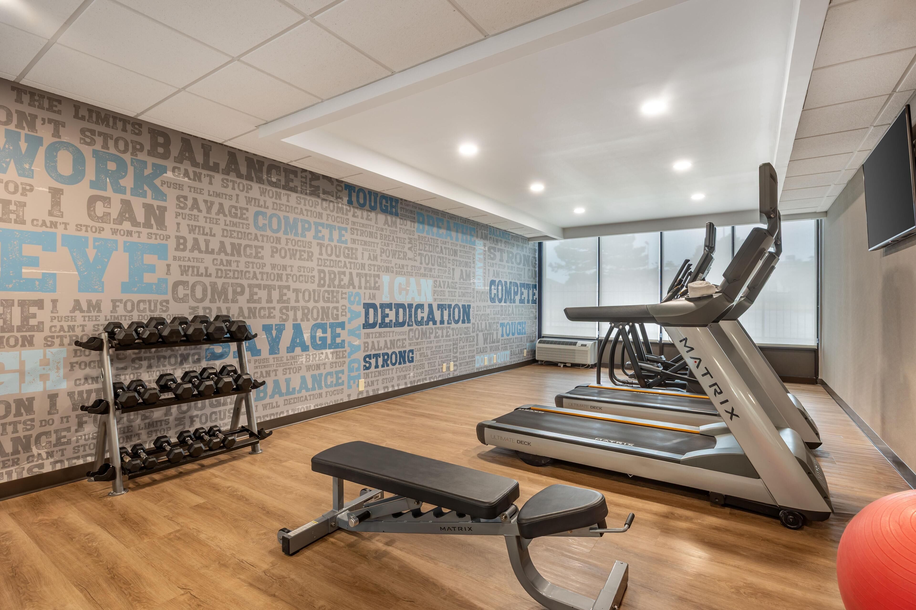 A gym with treadmills, dumbbells, and a bench.