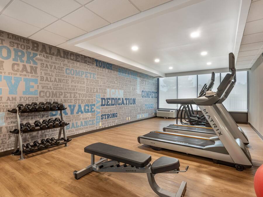 A gym with treadmills, dumbbells, and a bench.