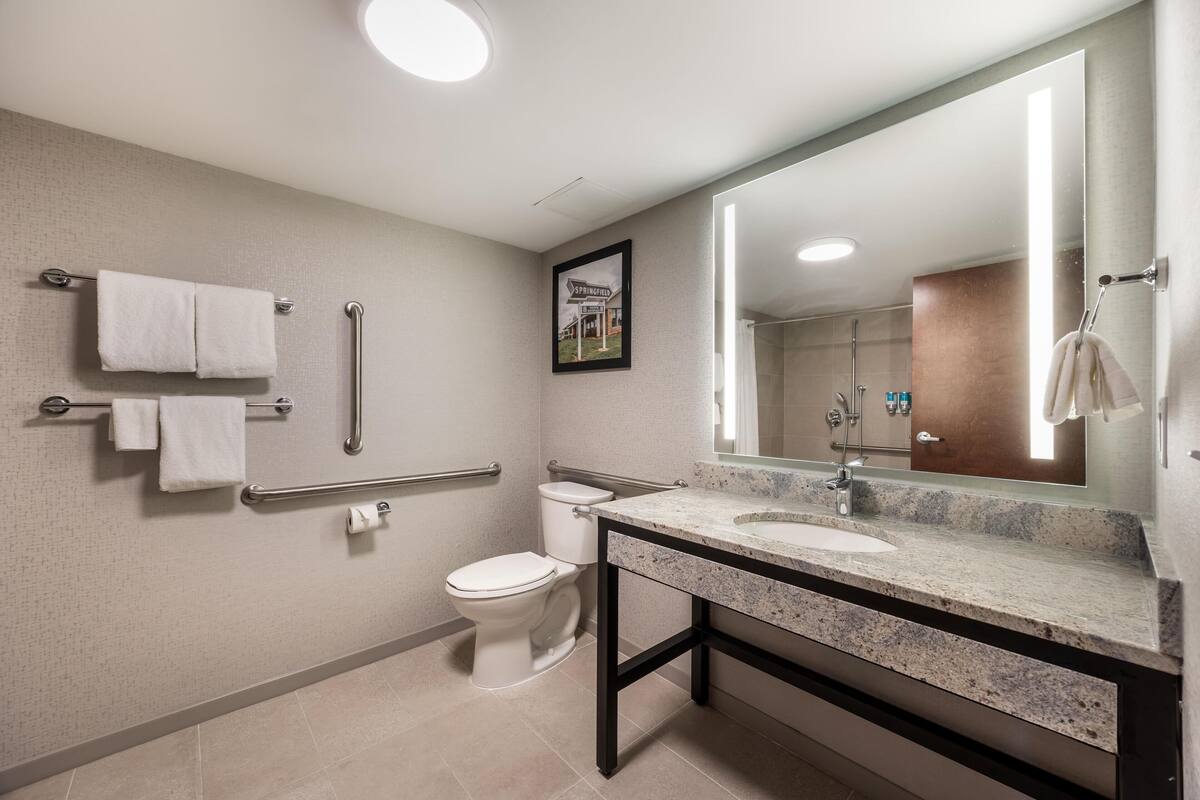 A modern bathroom with a sink, toilet, and handrails.