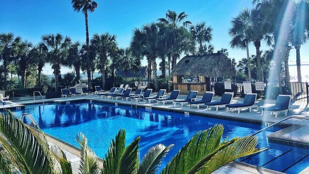 Un área de piscina con sillas de descanso y palmeras.