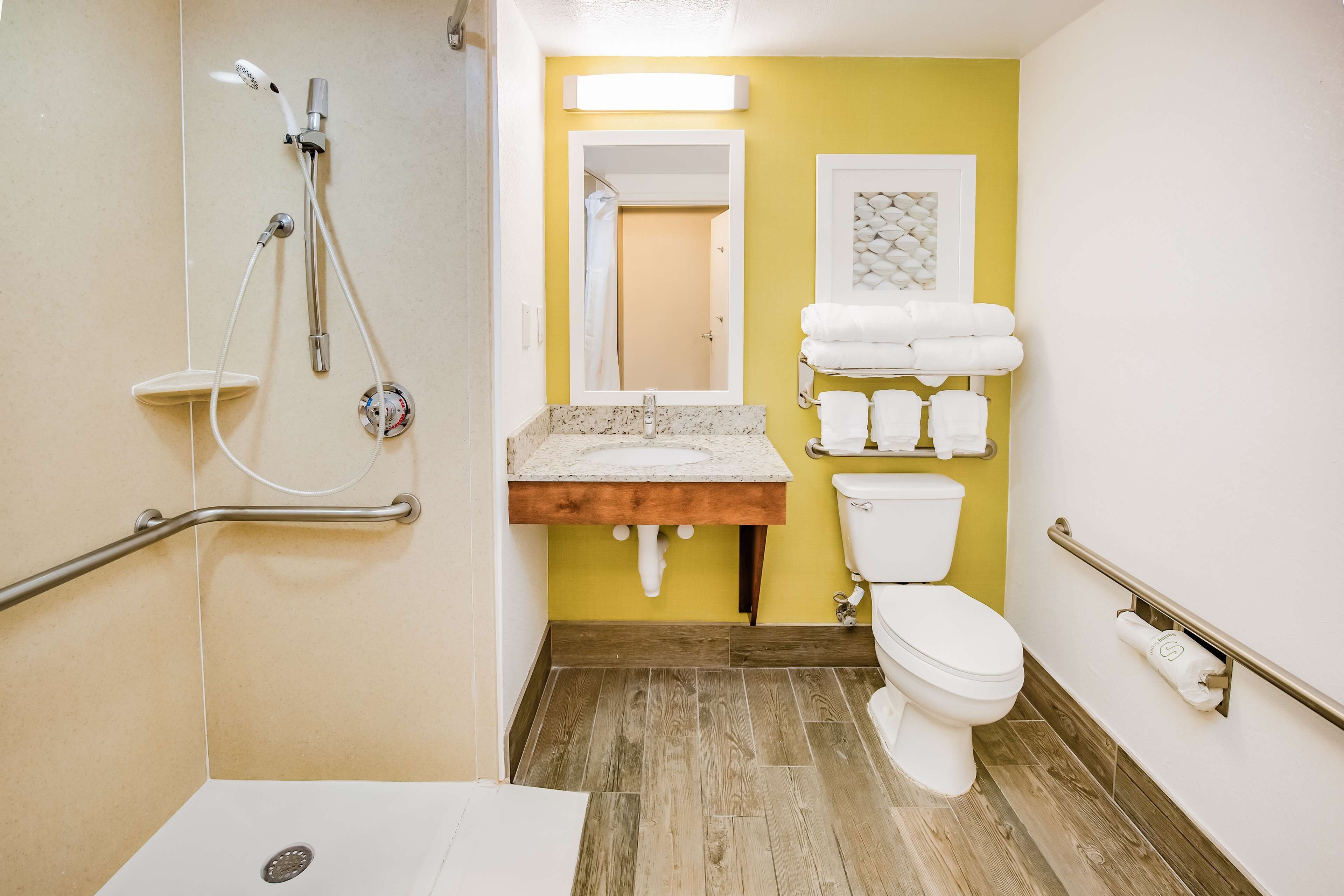 room, 1 king bed, accessible (mobility & hearing, roll-in shower) | bathroom shower