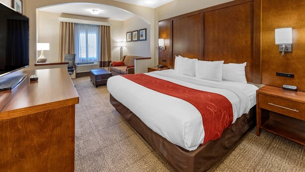 Studio Suite, 1 king bed with sofa bed | Skrivebord, blendingsgardiner, strykejern/-brett og wi-fi (inkludert)