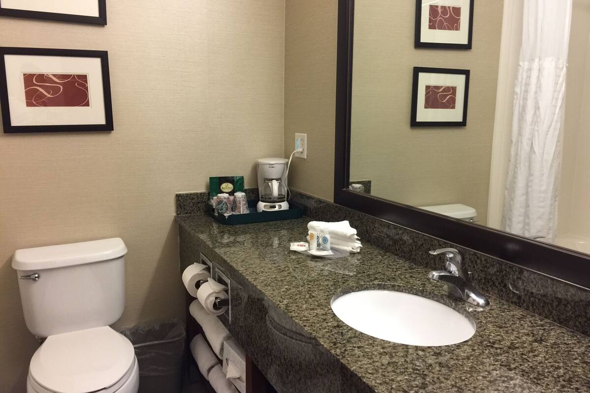 combined shower/bathtub, free toiletries, hair dryer, towels