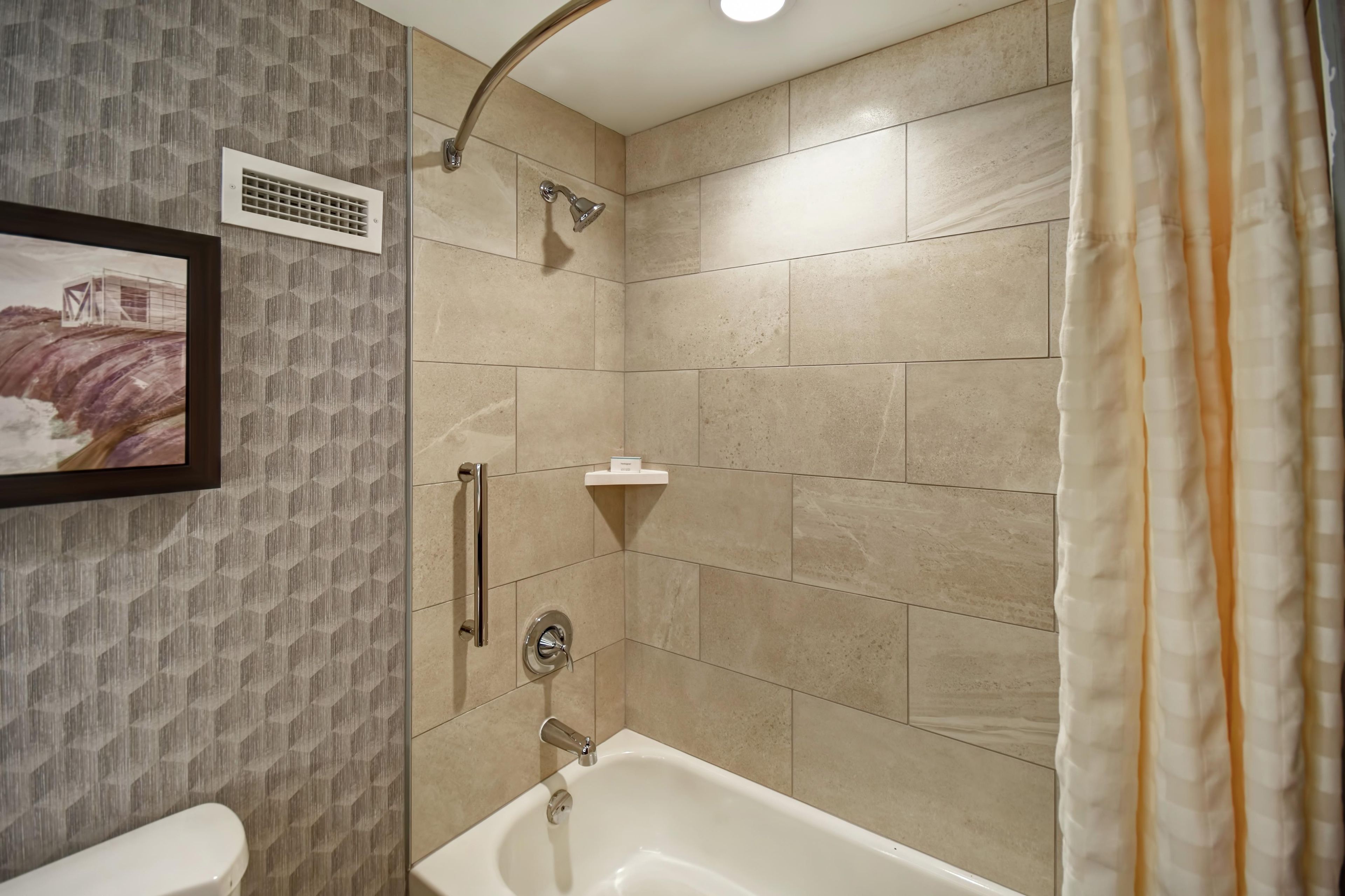 A bathroom with a shower, toilet, and a framed picture on the wall.