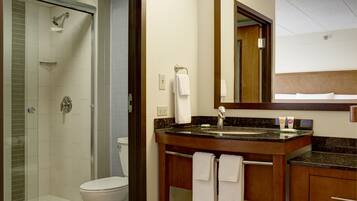 Une salle de bain équipée d’une douche, de toilettes, d’un lavabo et d’un miroir.