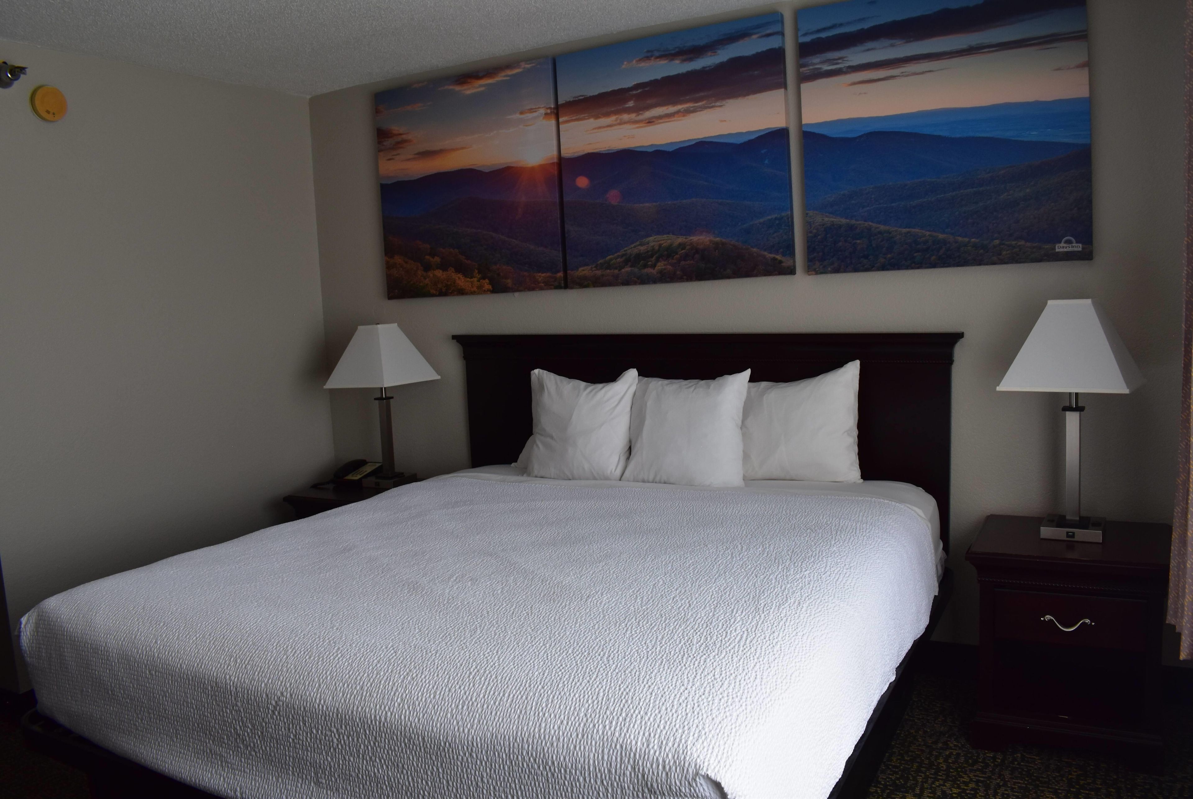 A hotel room with a large bed, two bedside lamps, a nightstand, and a painting of a sunset over mountains on the wall.