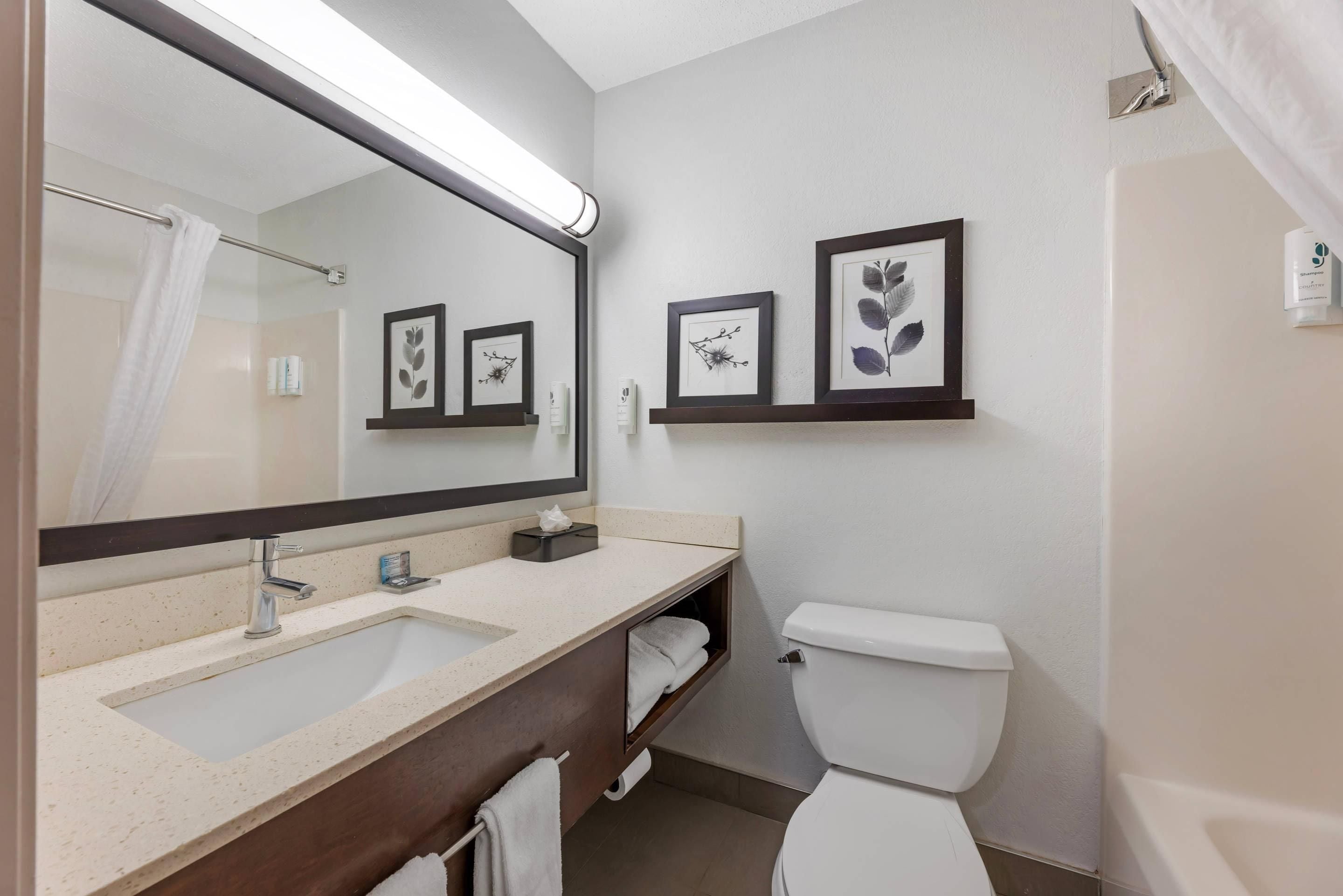 Een badkamer met een grote spiegel, een wastafel, een toilet en lijstwerken aan de muur.