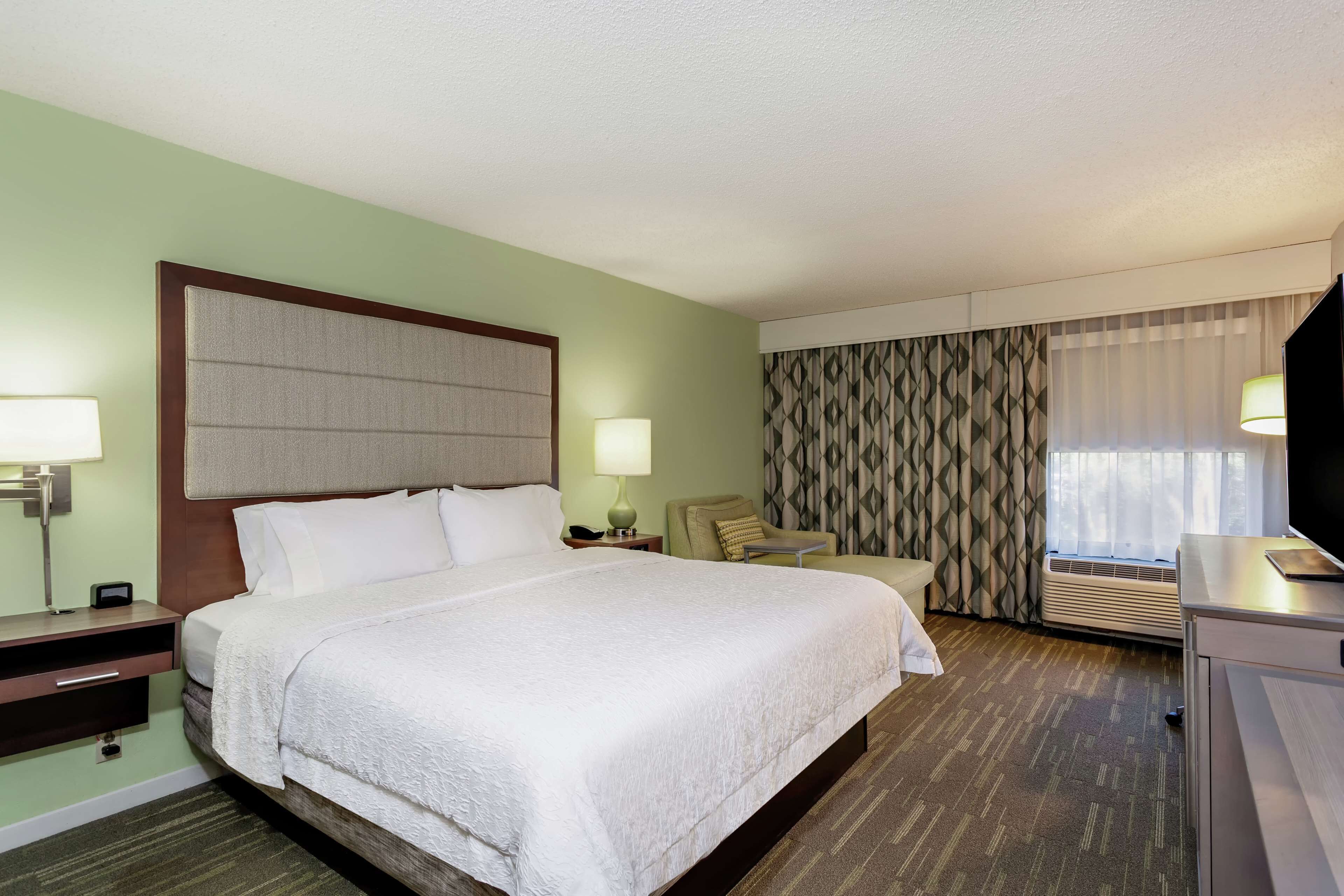 king bed nonsmoking | desk, iron/ironing board, free cots/infant beds, rollaway beds