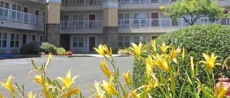 Vista da propriedade