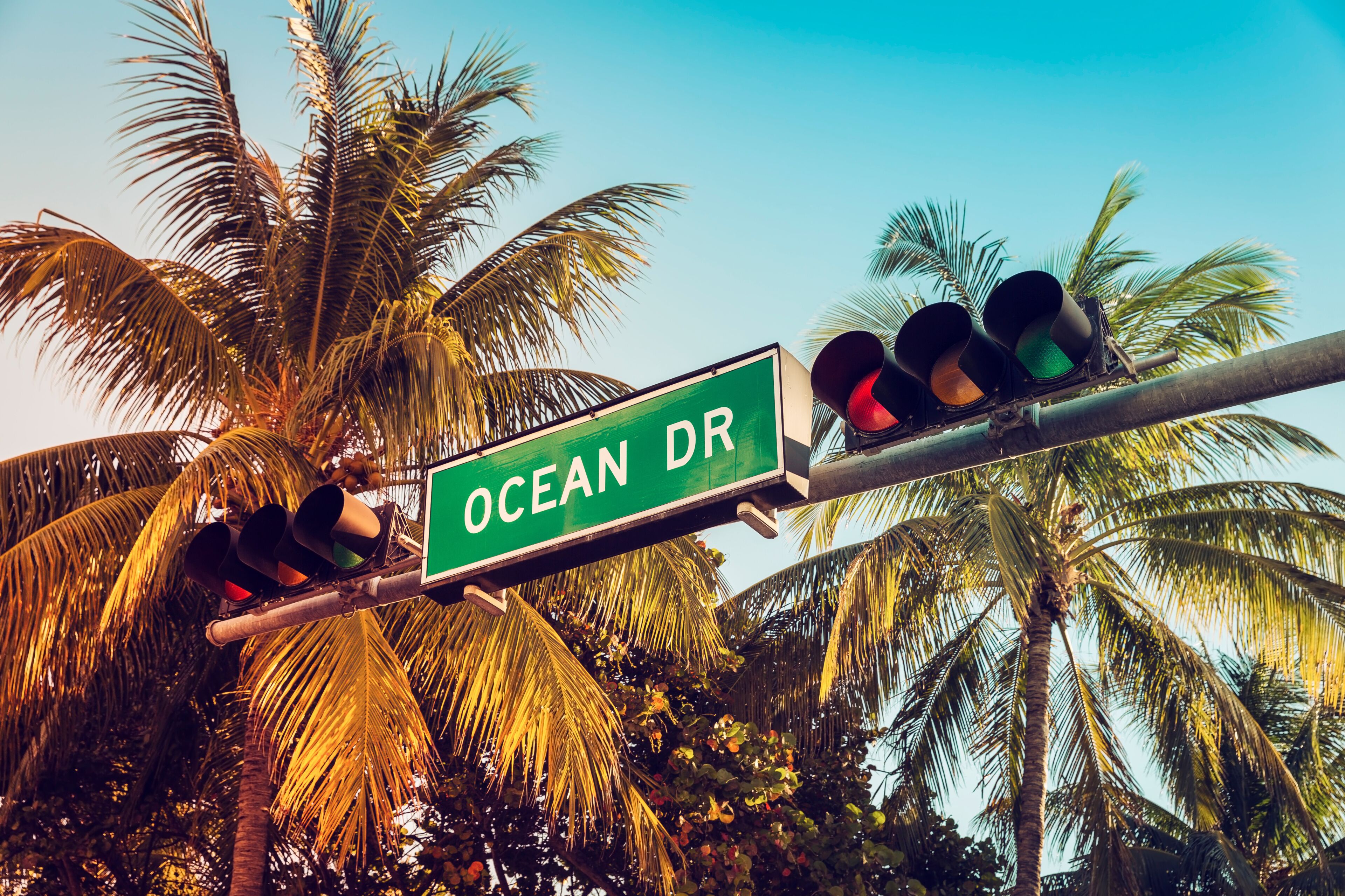 Una señal de calle indica Ocean Drive, con semáforos y palmeras al fondo.