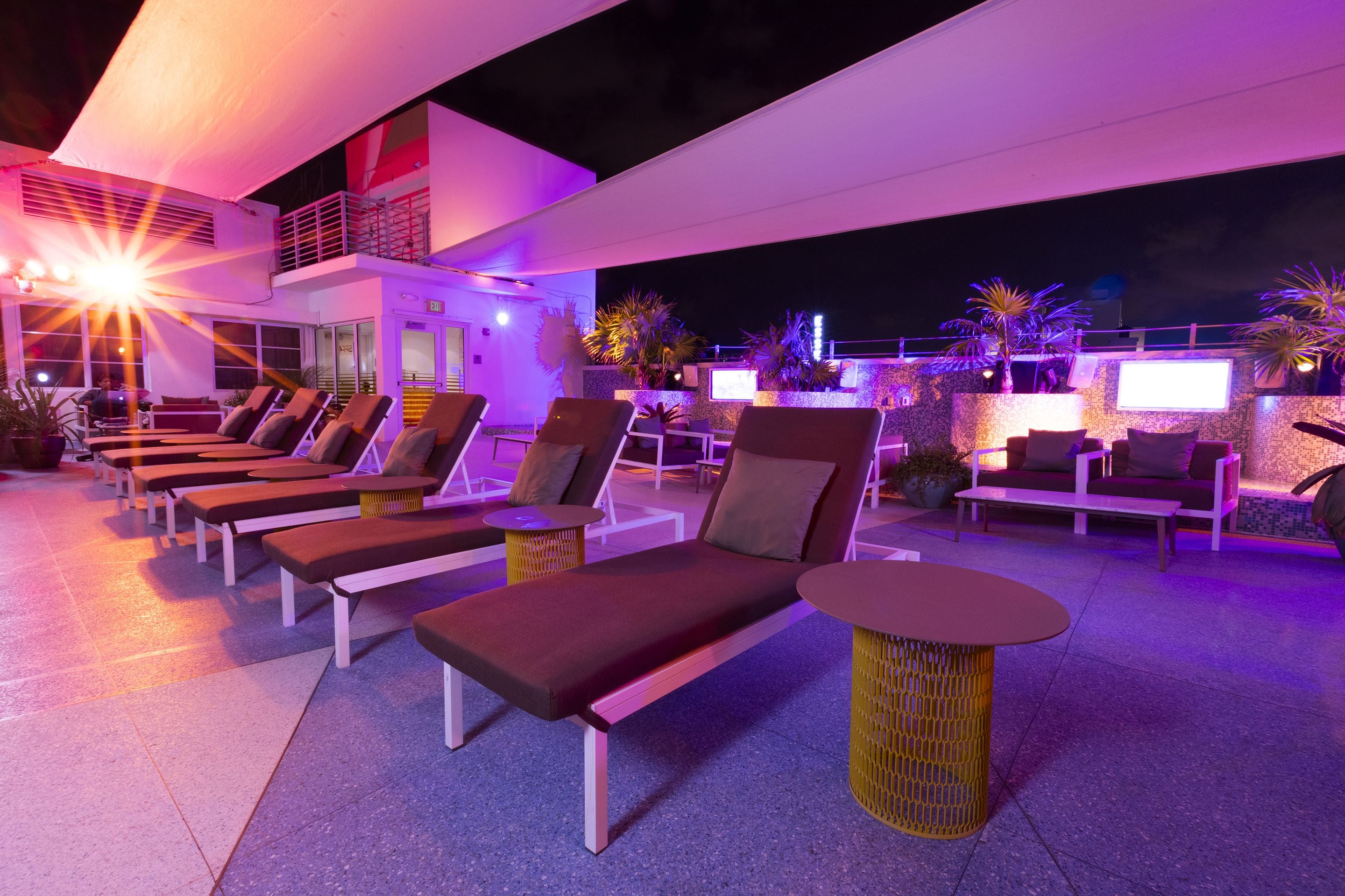 A rooftop lounge area with sun loungers and a small table, surrounded by potted plants and a white building in the background.