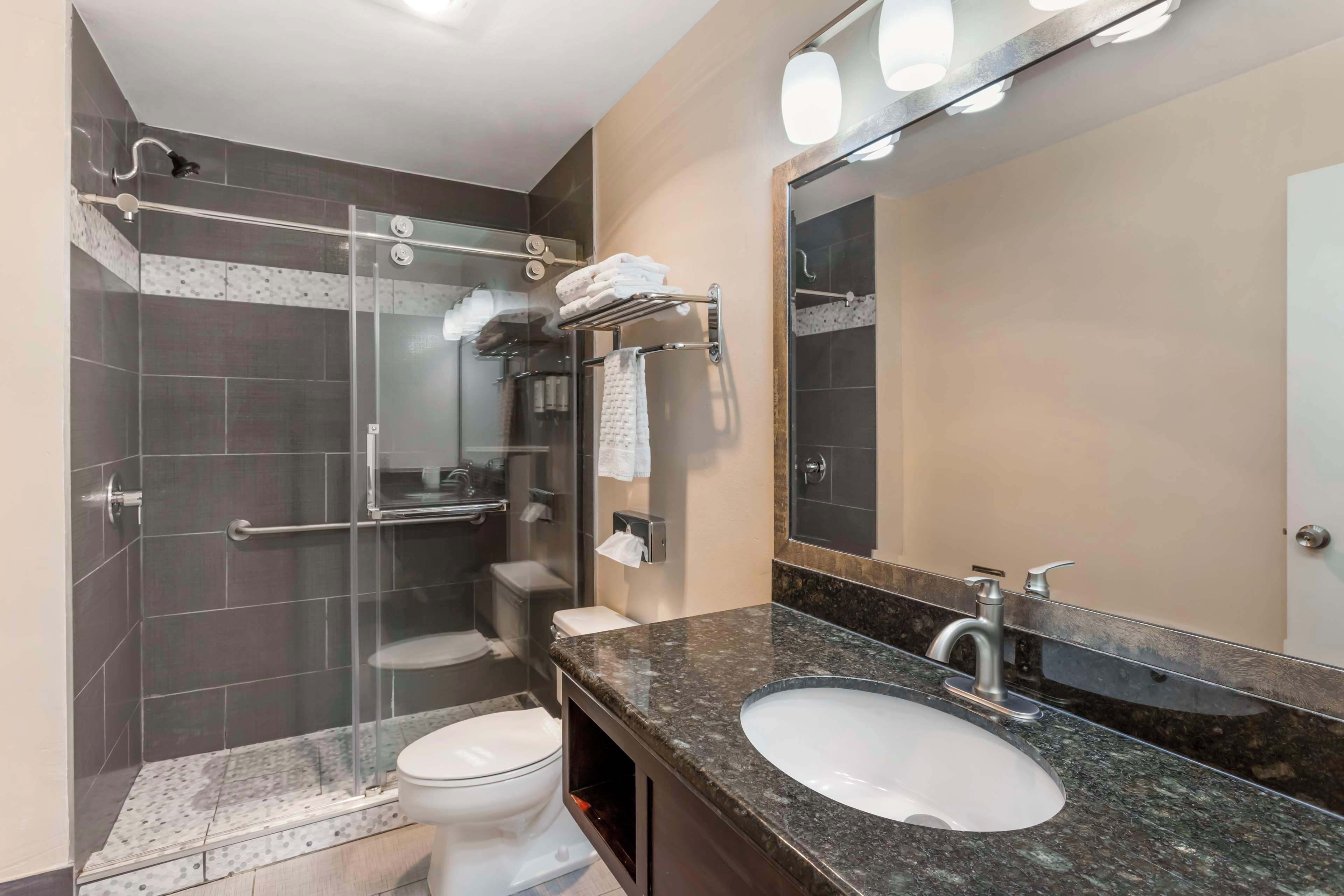 A modern bathroom with a glass-enclosed shower, a white toilet, a granite countertop, and a large mirror.